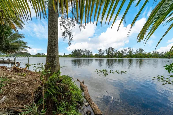 a view of a lake with a tree