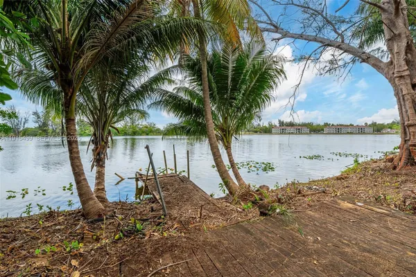 a body of water with a tree in the background