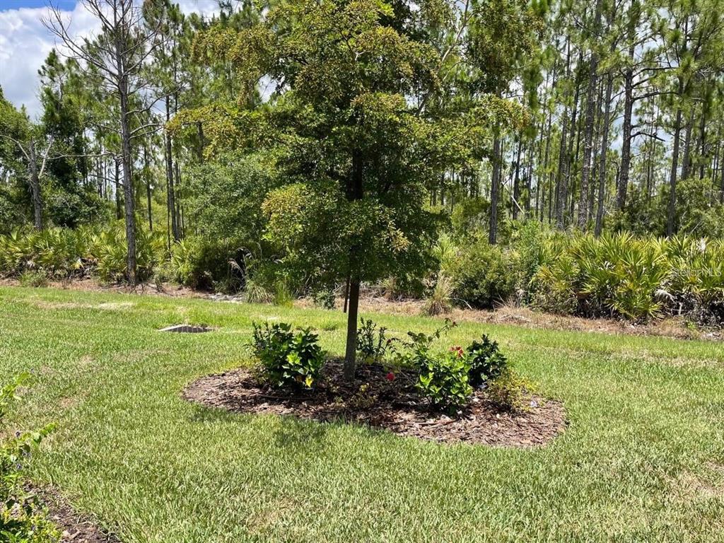 1352 Raspberry Dr Port North Port, FL 34289 - Photo 68 of 88