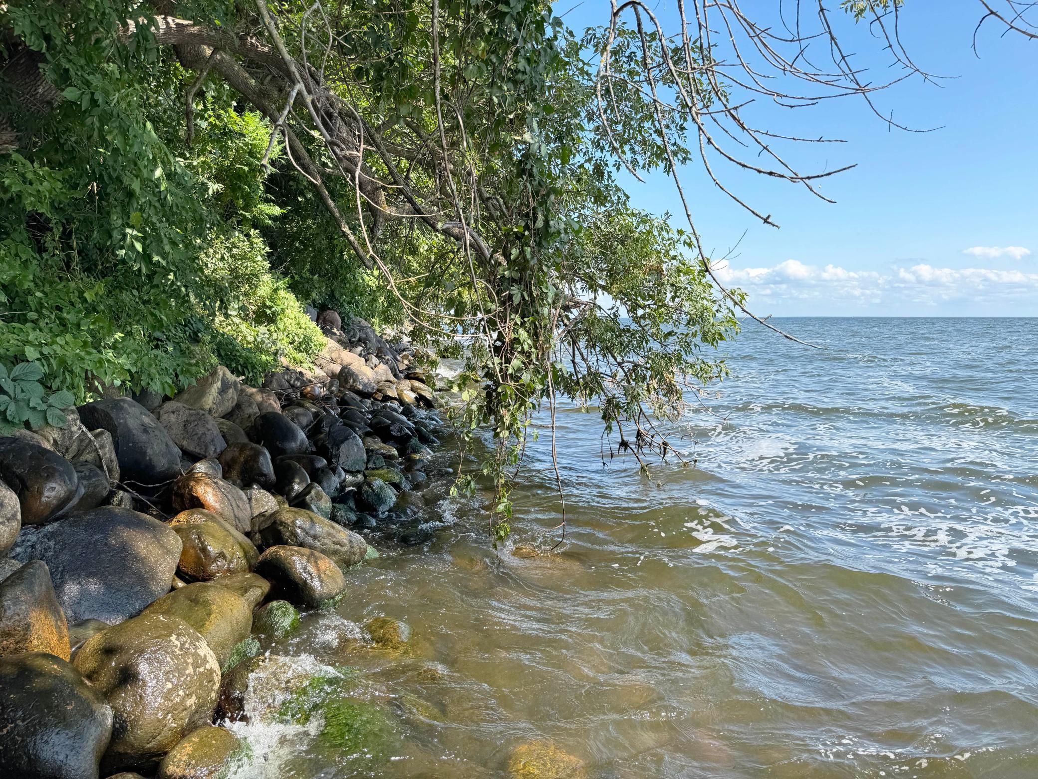 44205 Conifer Street Aitkin, MN 56431 - Photo 66 of 87