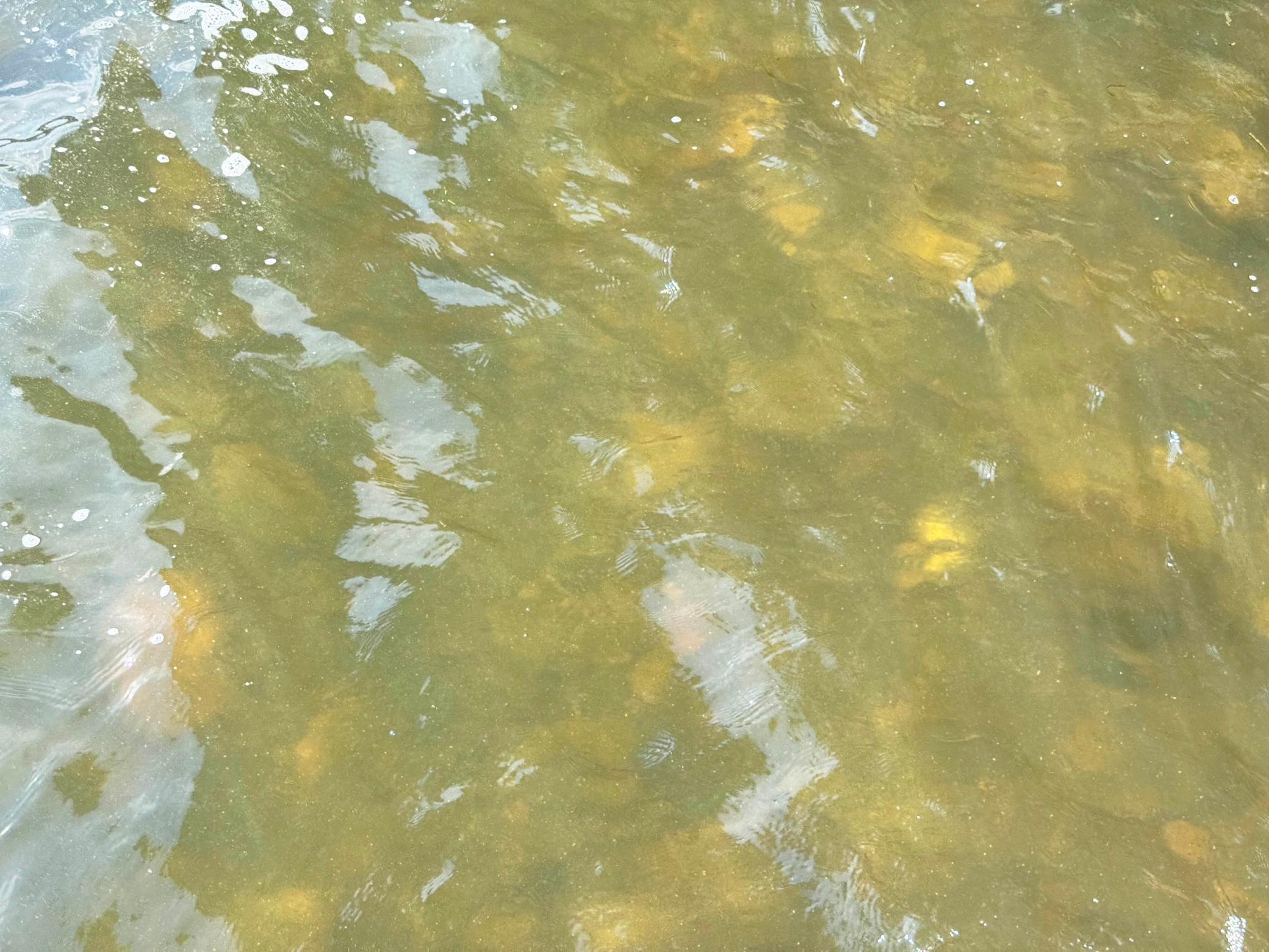 44205 Conifer Street Aitkin, MN 56431 - Photo 75 of 87