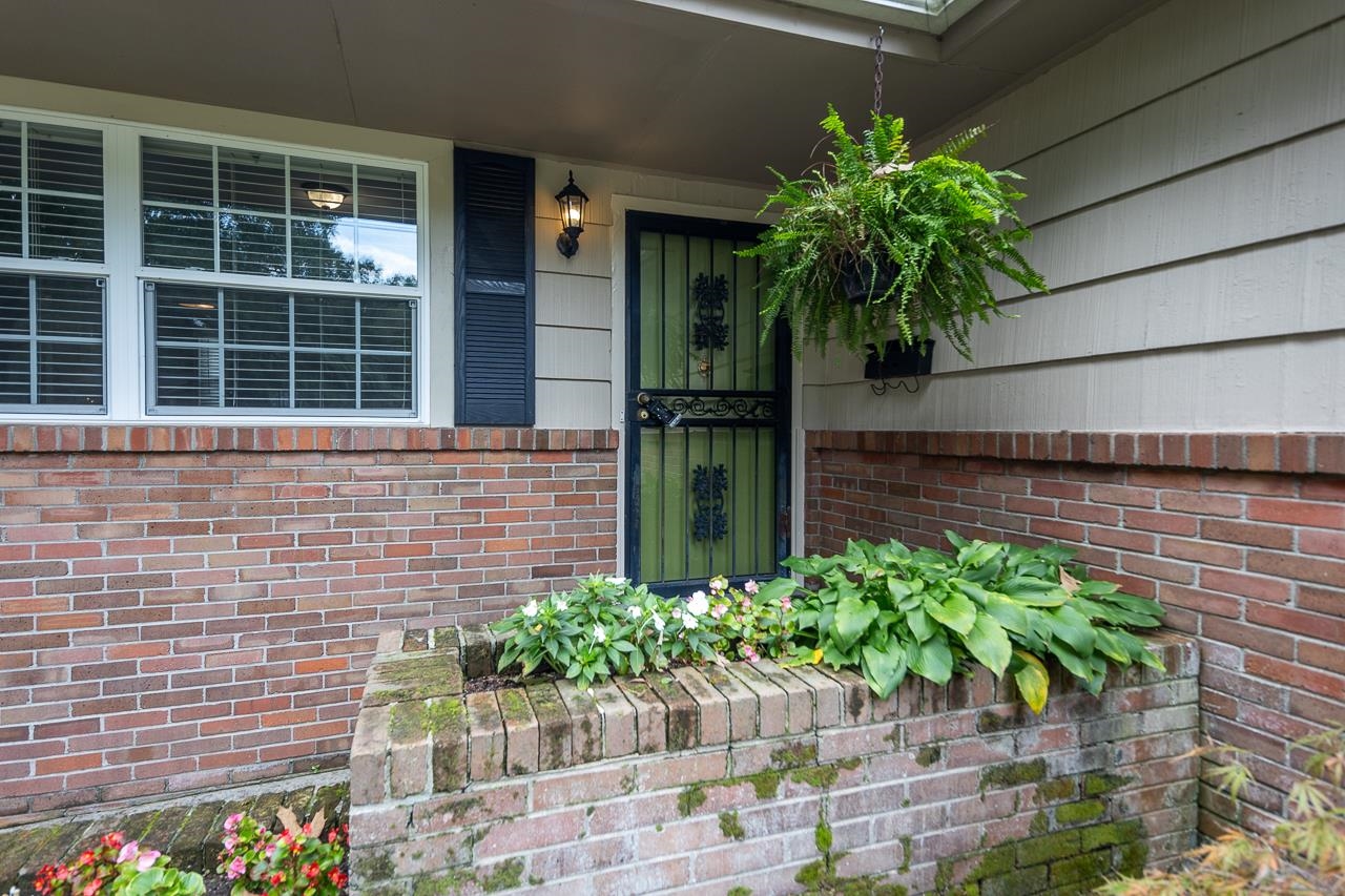 4951 Sequoia Road Memphis, TN 38117 - Photo 4 of 21 a plant is in front of a door