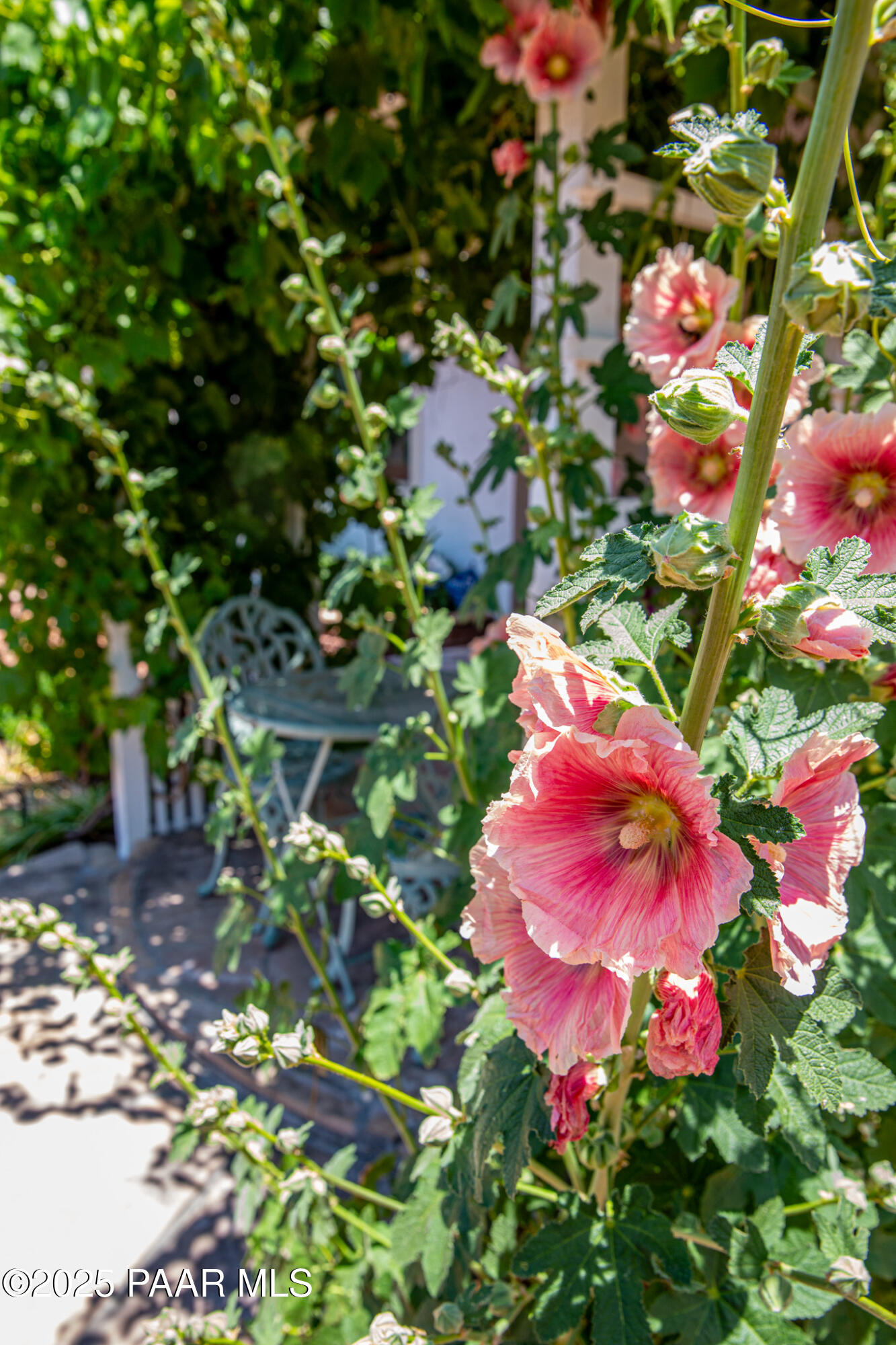 7075 Horizon Way Prescott Valley, AZ 86315 - Photo 34 of 44 a view of a flower