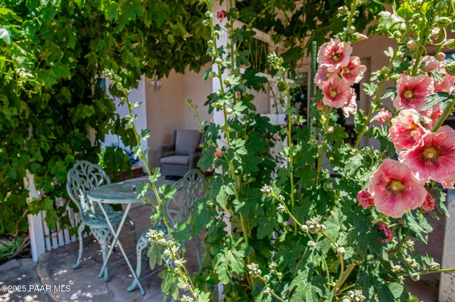 a view of yellow house with potted plants in front of door