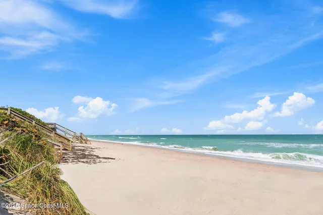 a view of a backyard with plants