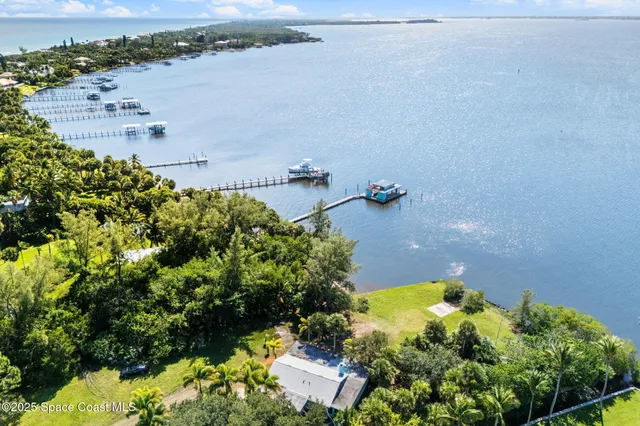 a view of a bunch of trees and bushes