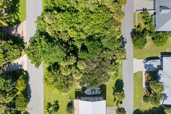 a view of a garden with plants