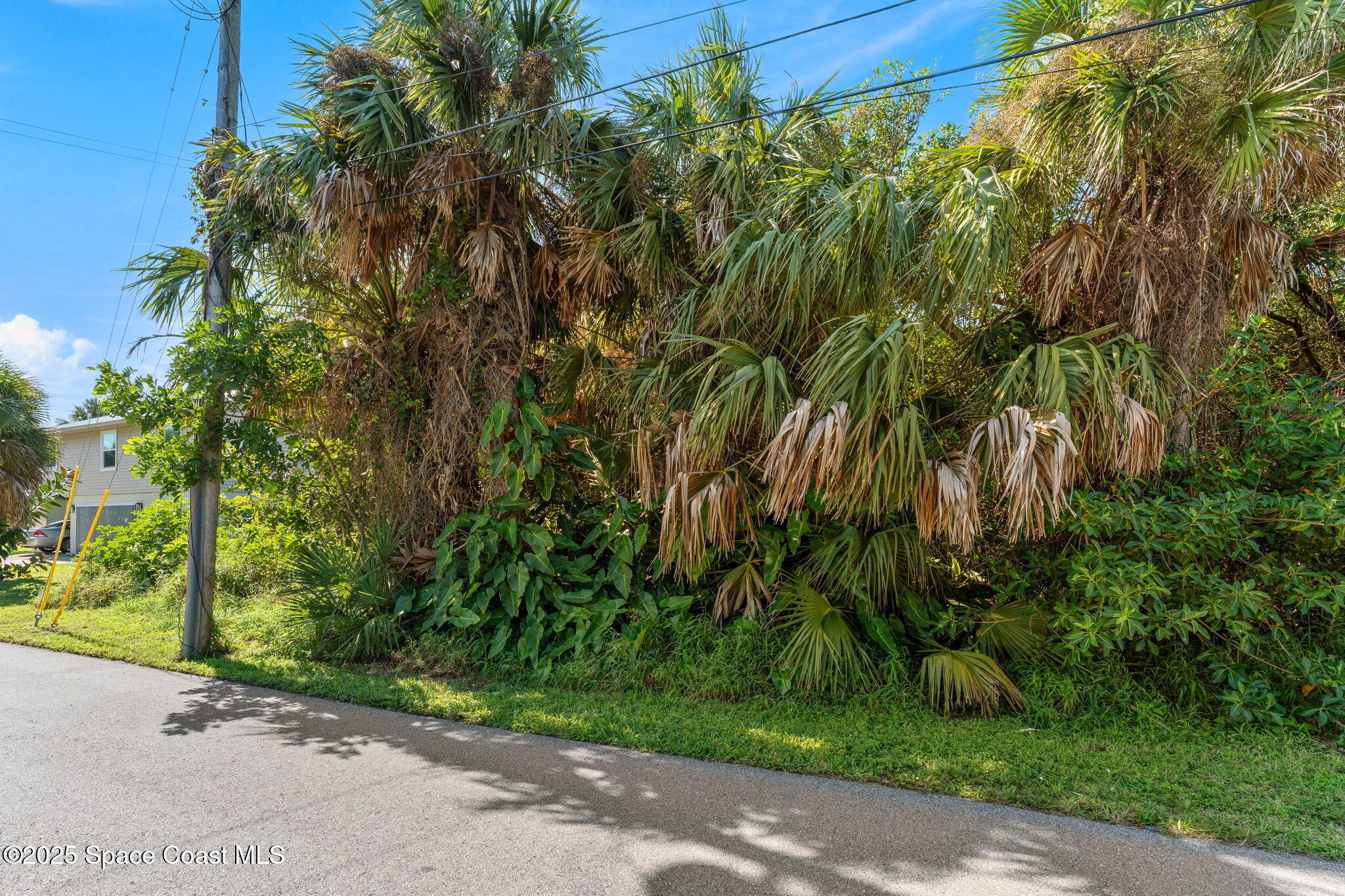 Tbd Tbd Winona Road Melbourne Beach, FL 32951 - Photo 23 of 25 a view of a yard with plants and large trees