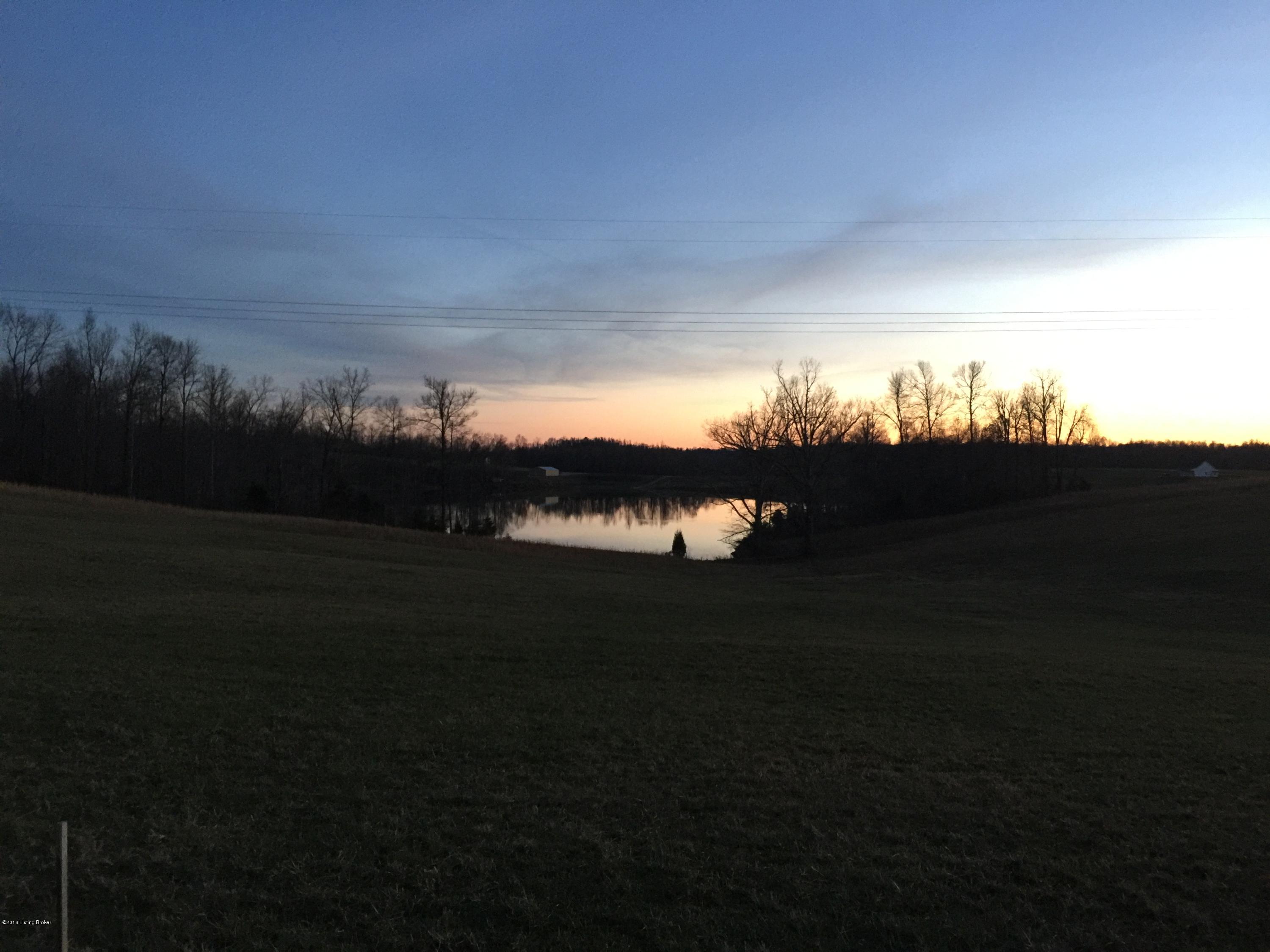 12 Indian Cliff Road Clarkson, KY 42726 - Photo 3 of 10 The view across from the lot