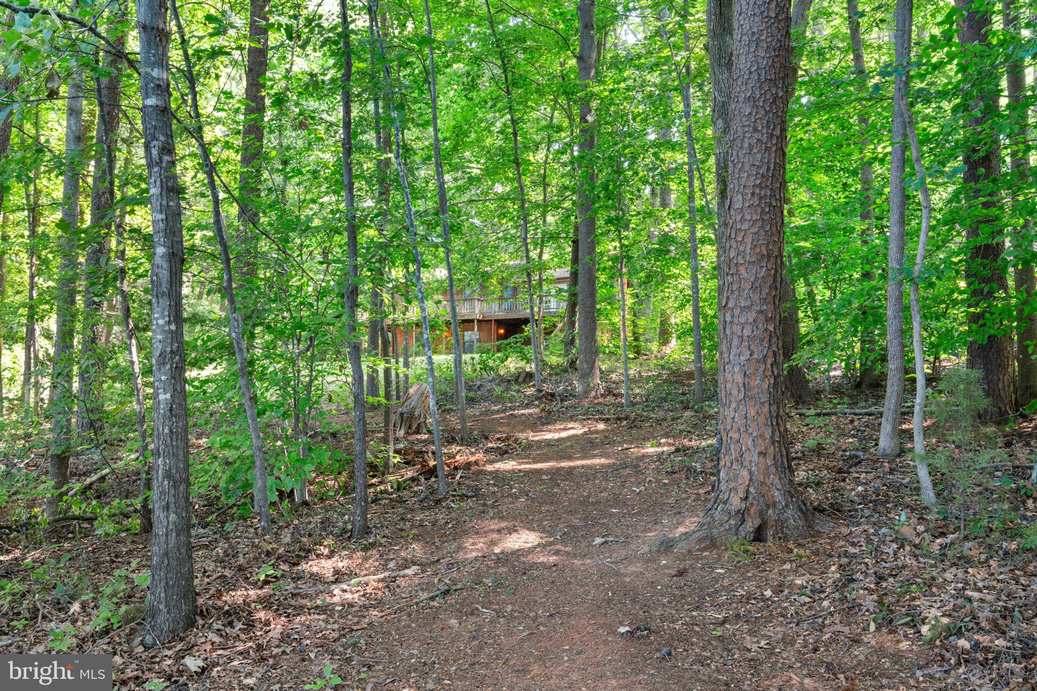 2802 Wallers Quarters Road Bumpass, VA 23024 - Photo 35 of 49 Gallery Image 35