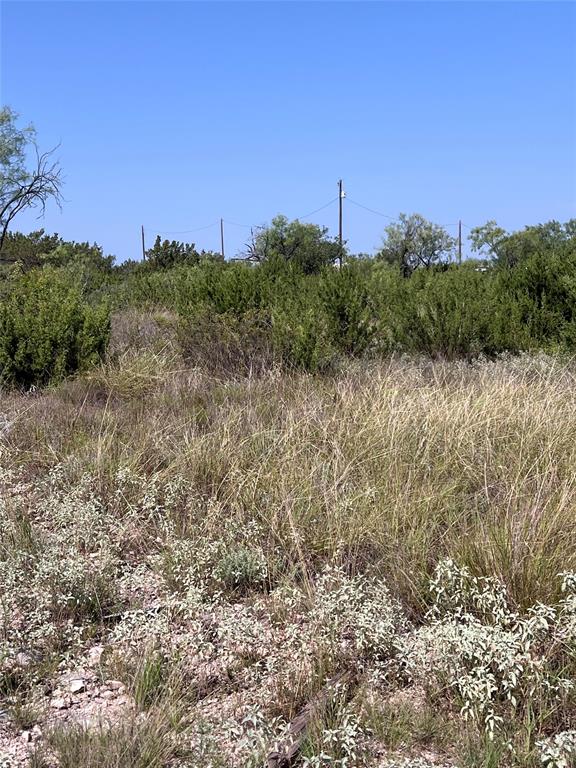 21008 Frank Road Paint Rock, TX 76866 - Photo 1 of 1