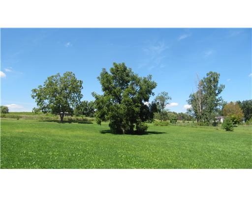 239 Goldscheitter Road Sarver, PA 16055 - Photo 18 of 18 Yard/Garden.
