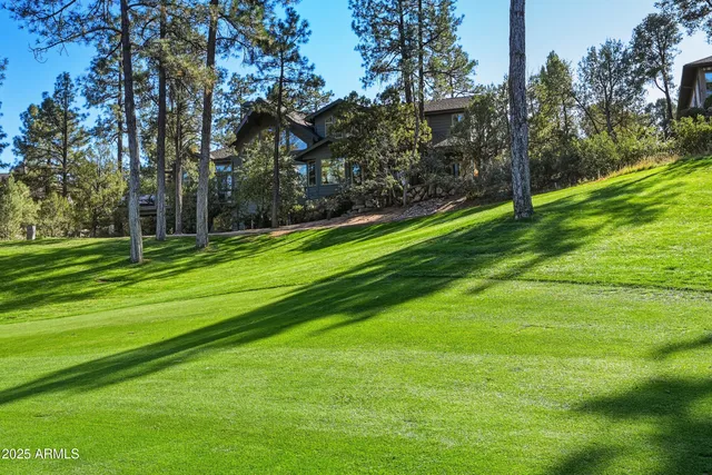 a backyard of a house with lots of green space
