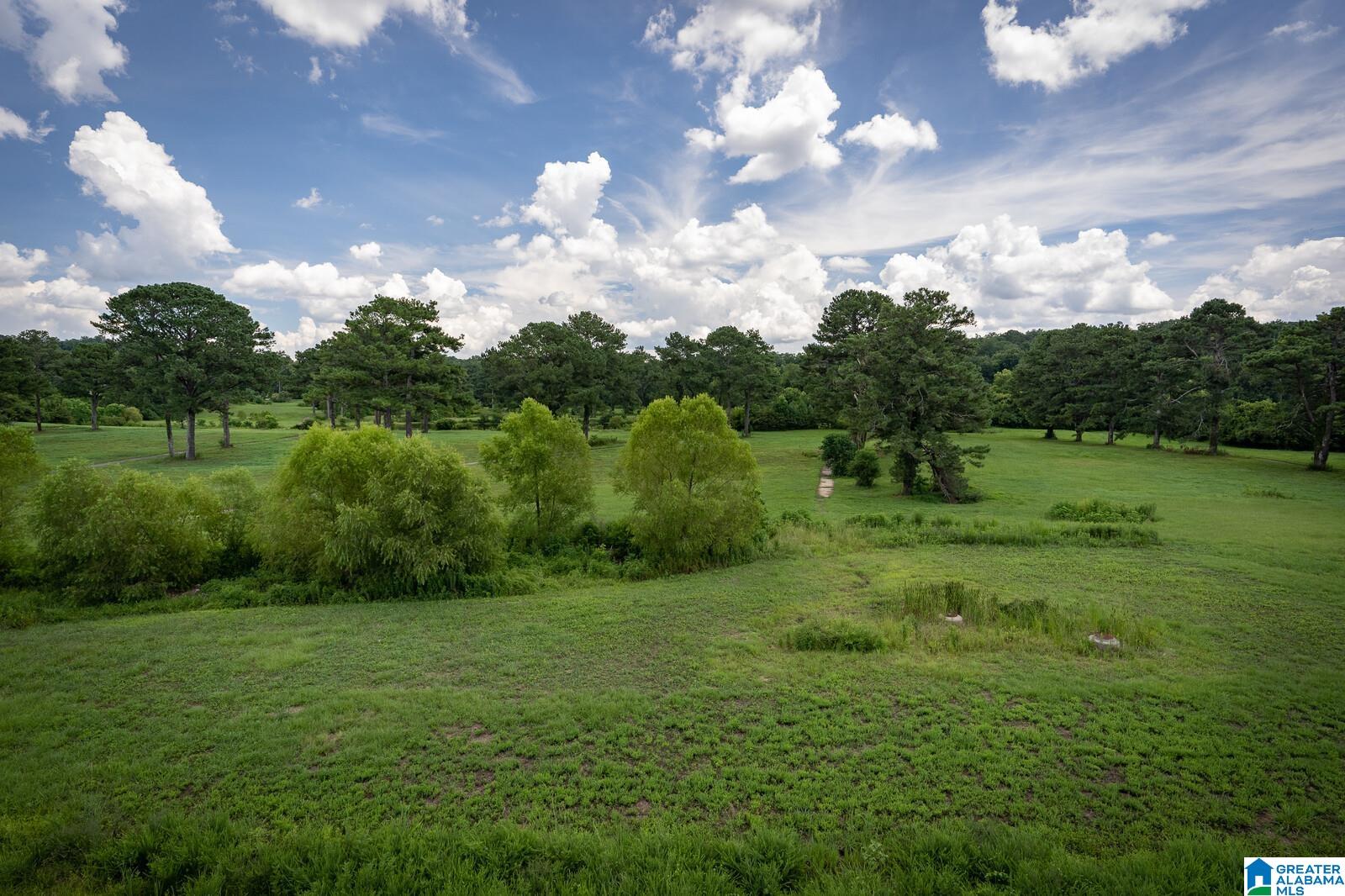 2968 Altadena Ridge Drive Birmingham, AL 35243 - Photo 15 of 34