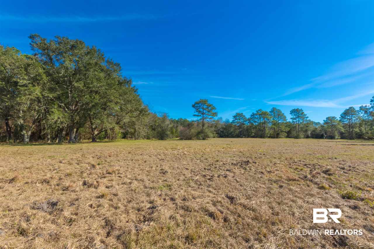 21801 County Road 28 Foley, AL 36535 - Photo 26 of 41