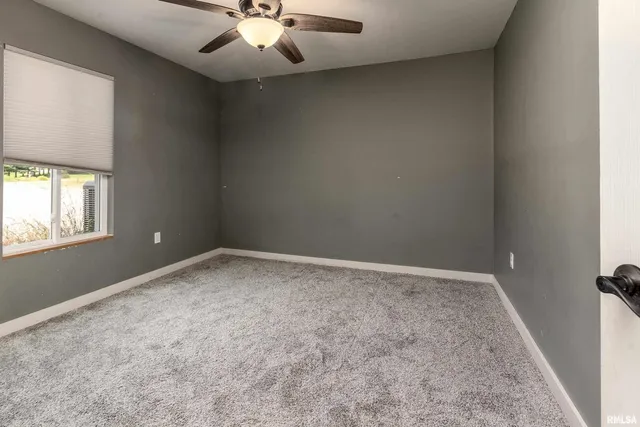 a view of a big yard with potted plants