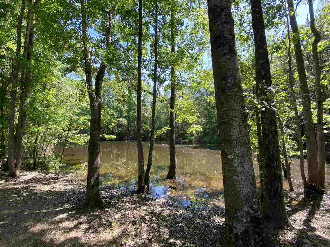 3145 Swilley Road Wesson, MS 39191 - Photo 20 of 38 Photo 20