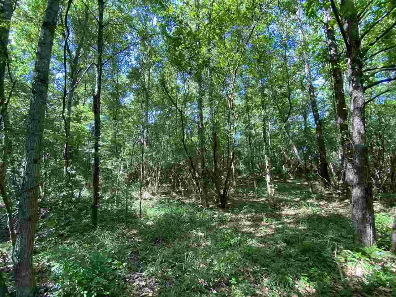 3145 Swilley Road Wesson, MS 39191 - Photo 25 of 38 Photo 25