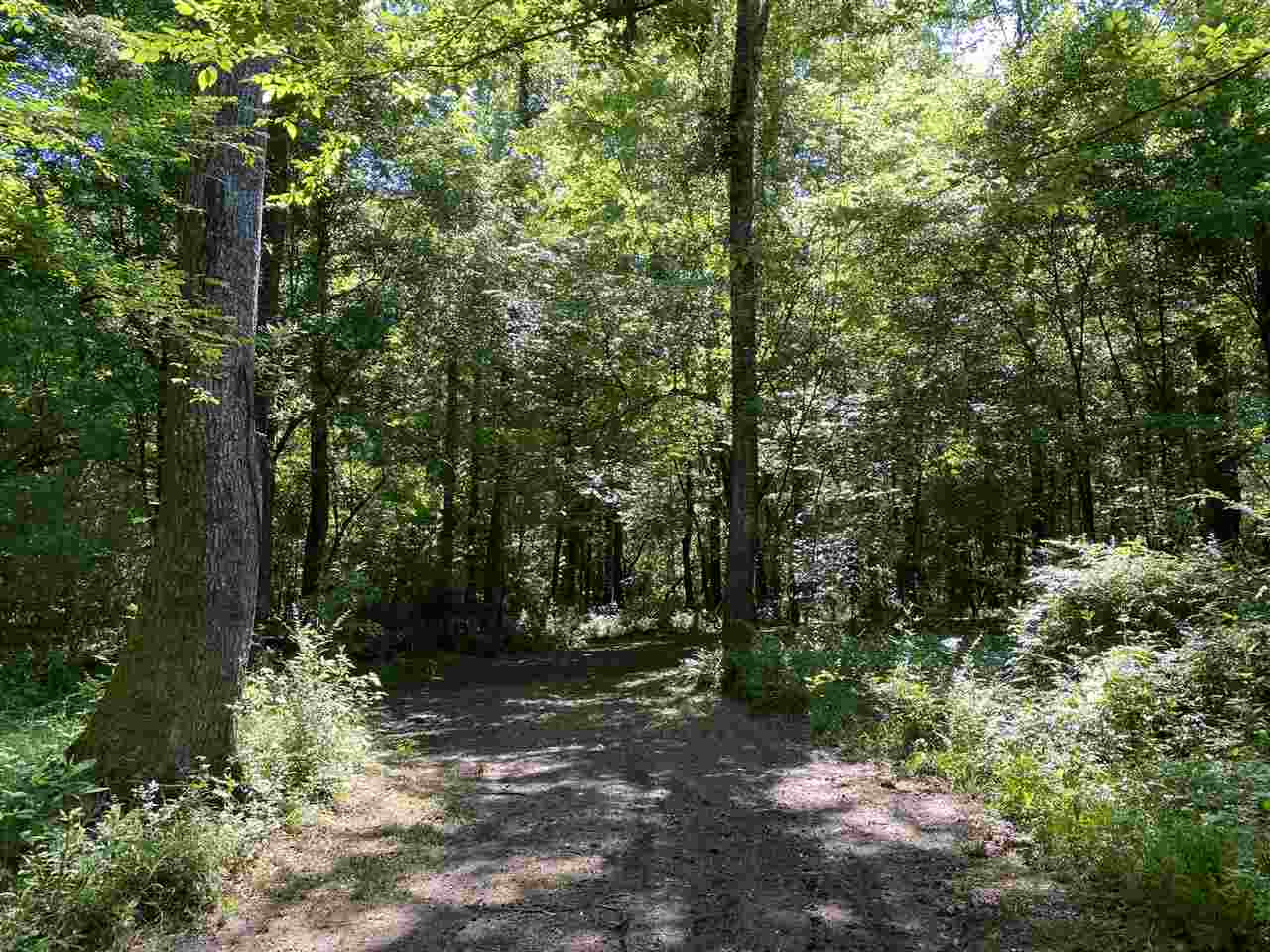 3145 Swilley Road Wesson, MS 39191 - Photo 28 of 38 Photo 28
