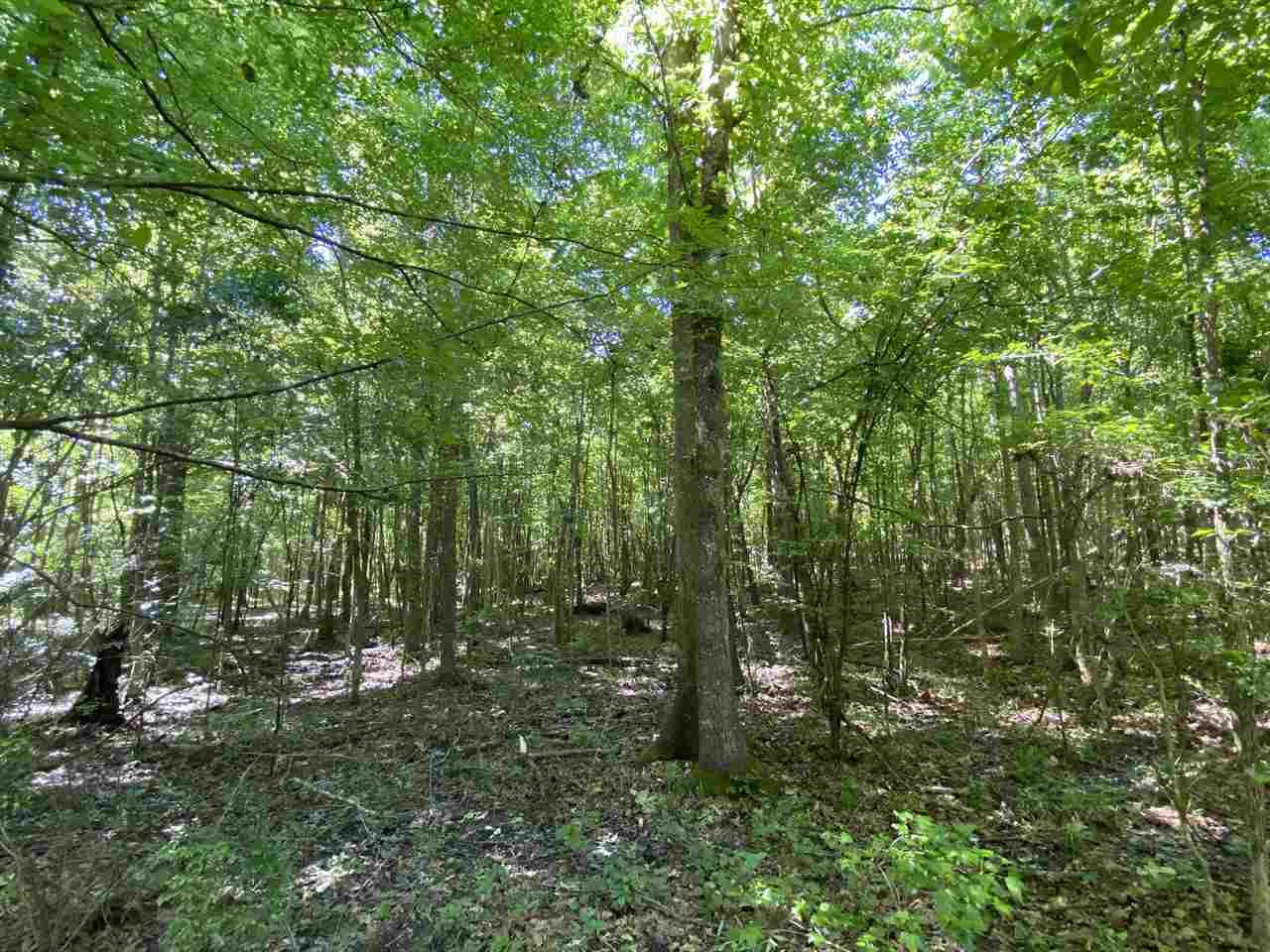 3145 Swilley Road Wesson, MS 39191 - Photo 29 of 38 Photo 29