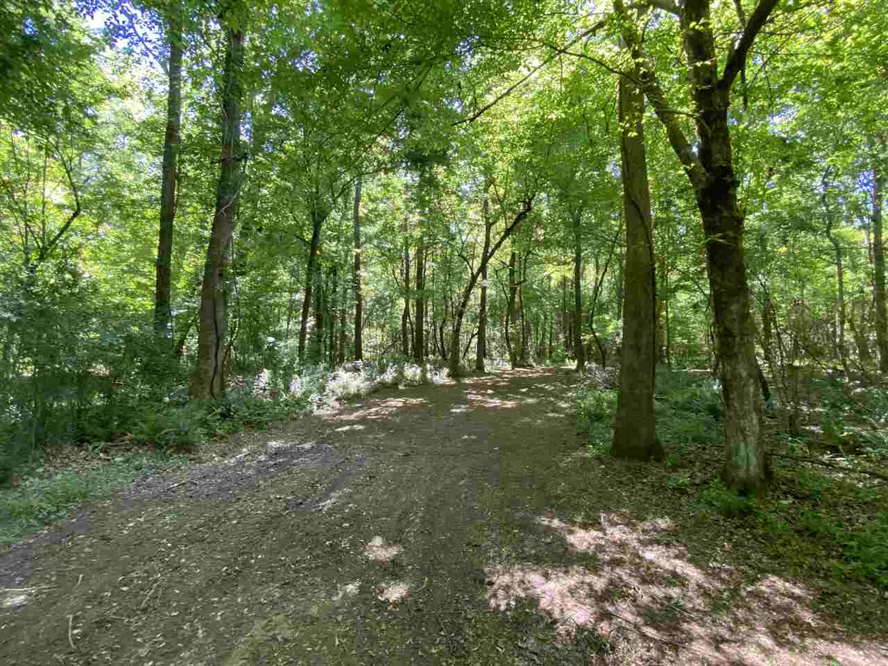3145 Swilley Road Wesson, MS 39191 - Photo 30 of 38 Photo 30