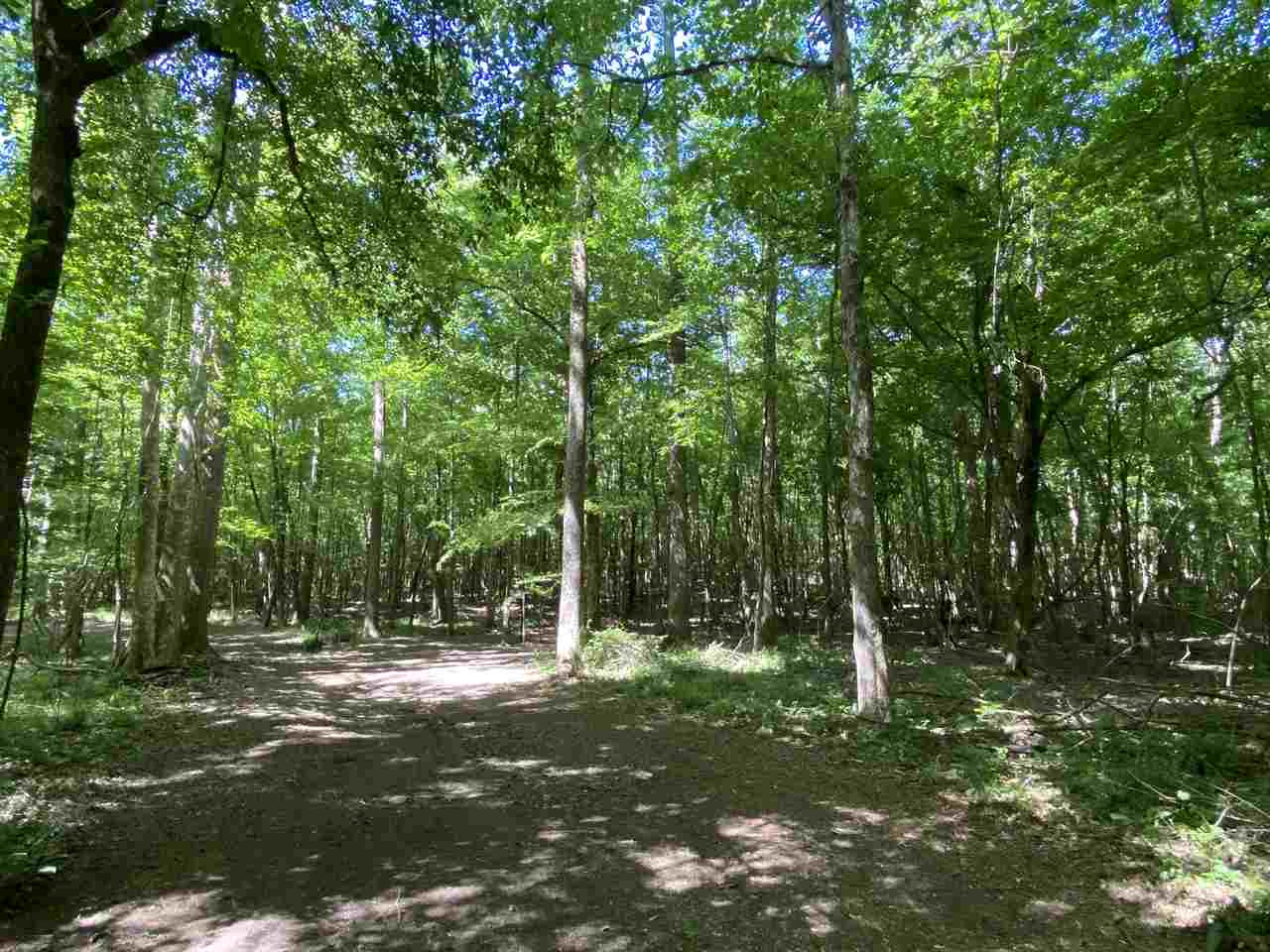 3145 Swilley Road Wesson, MS 39191 - Photo 32 of 38 Photo 32