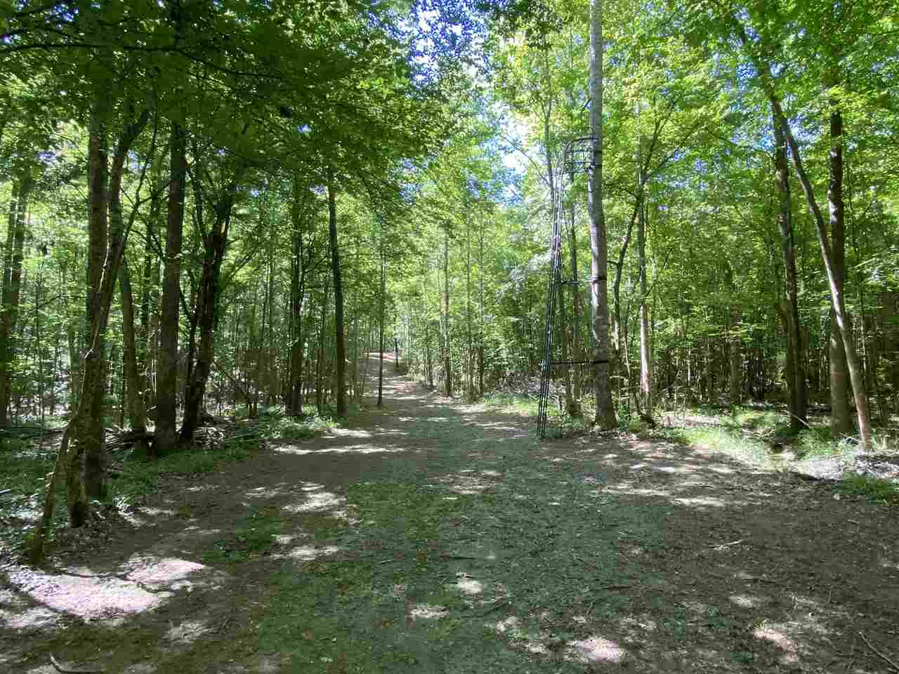 3145 Swilley Road Wesson, MS 39191 - Photo 33 of 38 Photo 33
