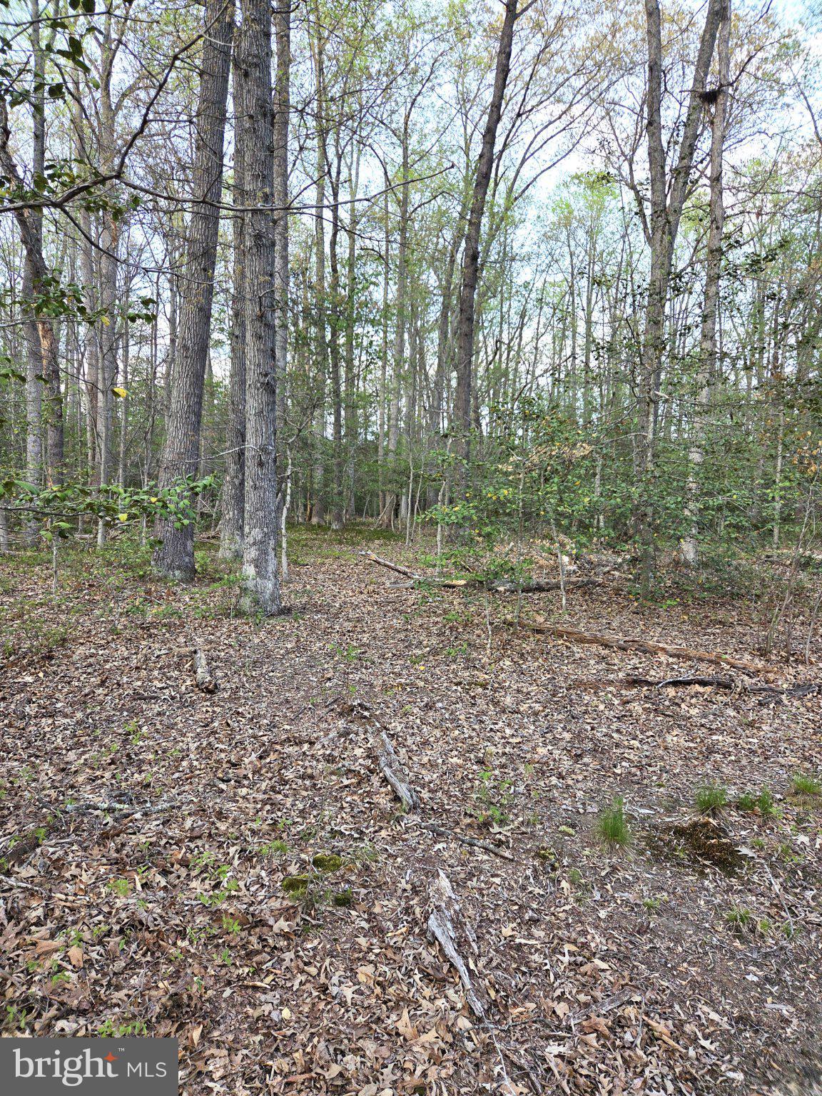 2577 Rutland Road Davidsonville, MD 21035 - Photo 11 of 16 Gallery Image 11