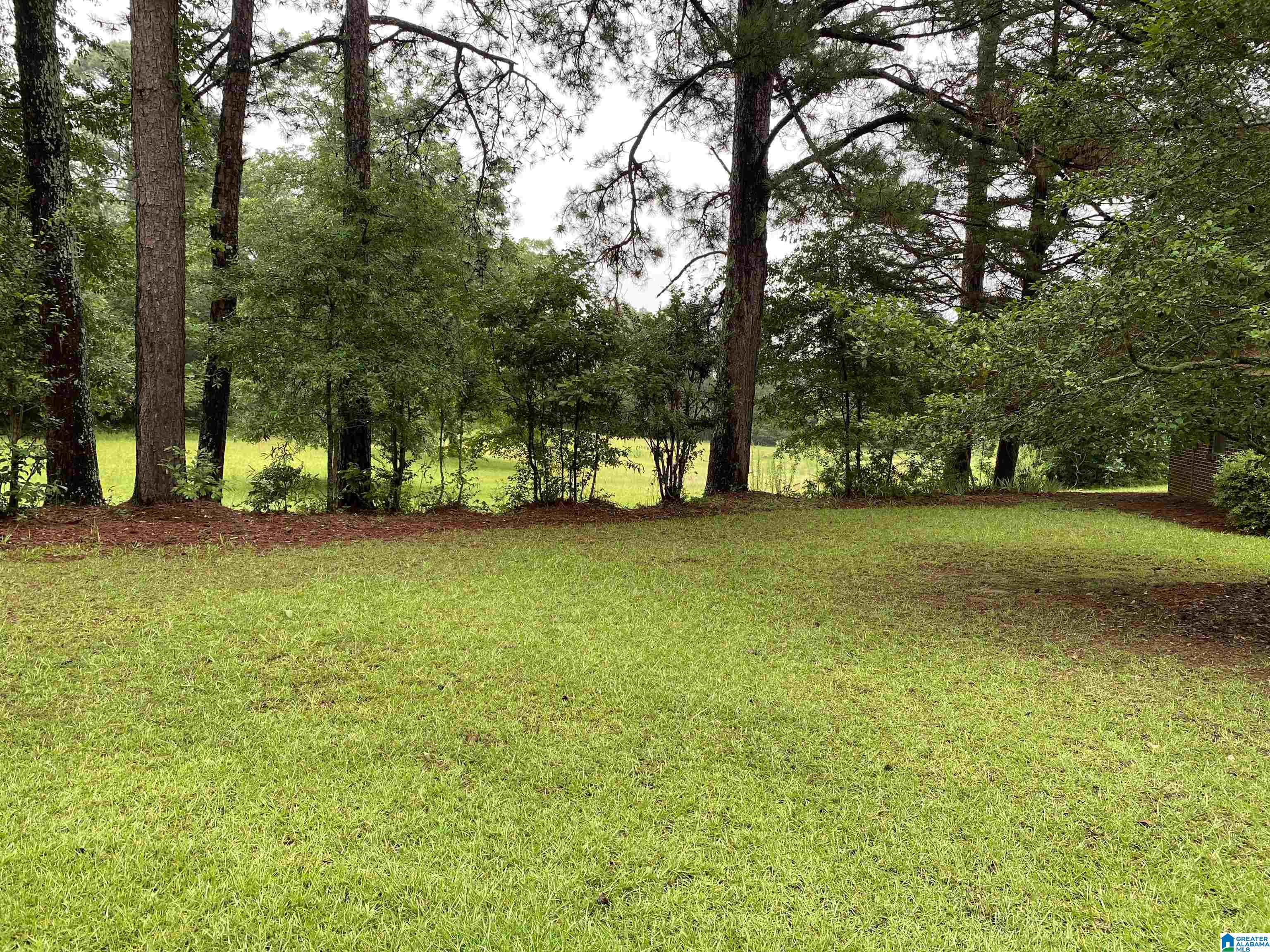 80 Old Collins Chapel Road Thorsby, AL 35171 - Photo 19 of 25