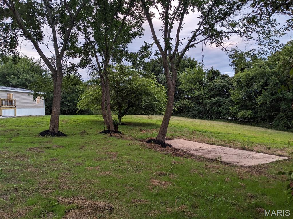 1825 Myers Road Troy, MO 63379 - Photo 43 of 45