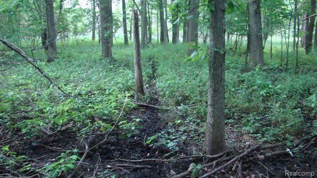 4 Thornville Road Metamora, MI 48455 - Photo 5 of 13 thornville rd. parcels 4,5,6 &7