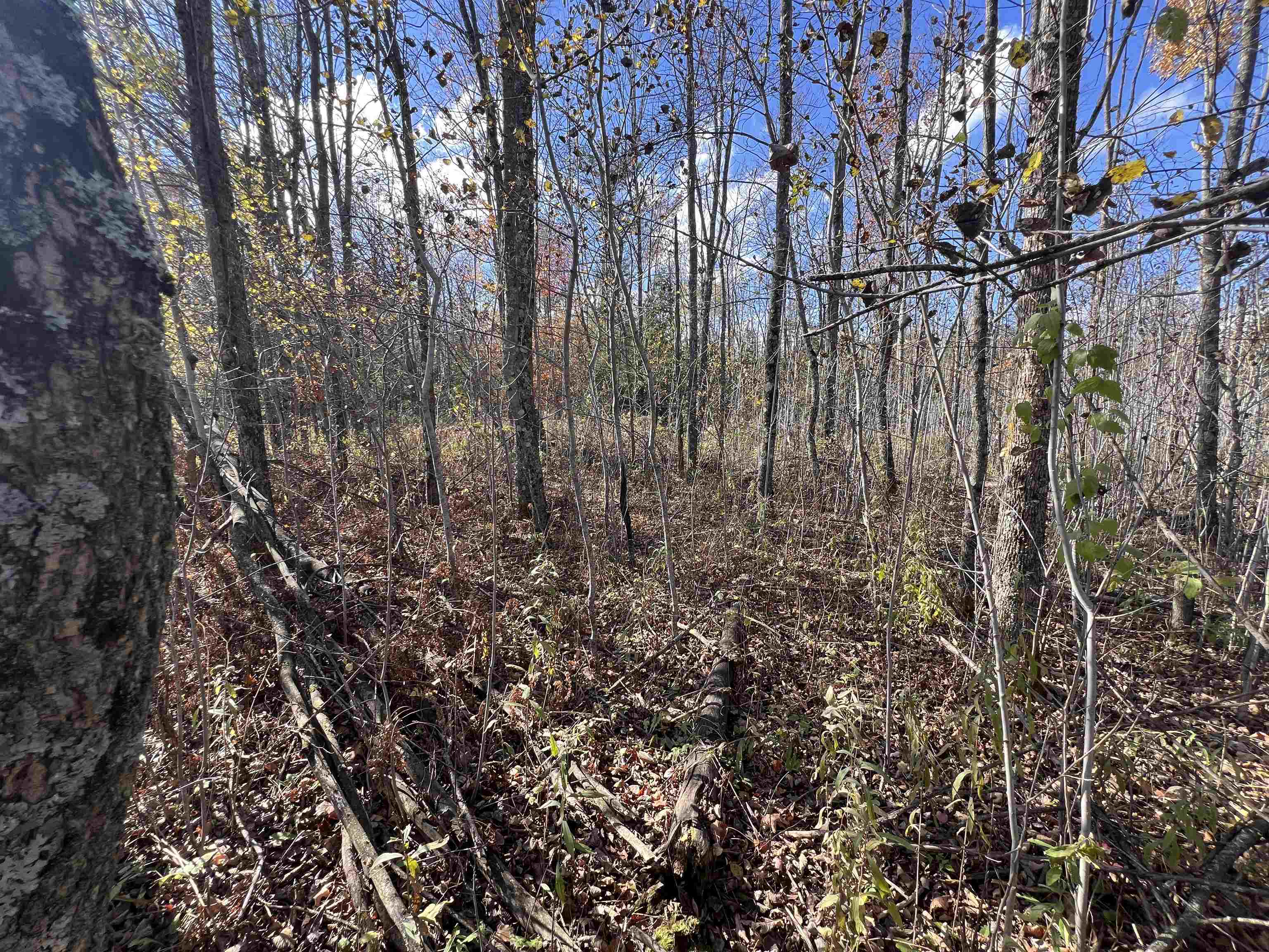 Just Road, Unit 6 Wausaukee, WI 54177 - Photo 2 of 5