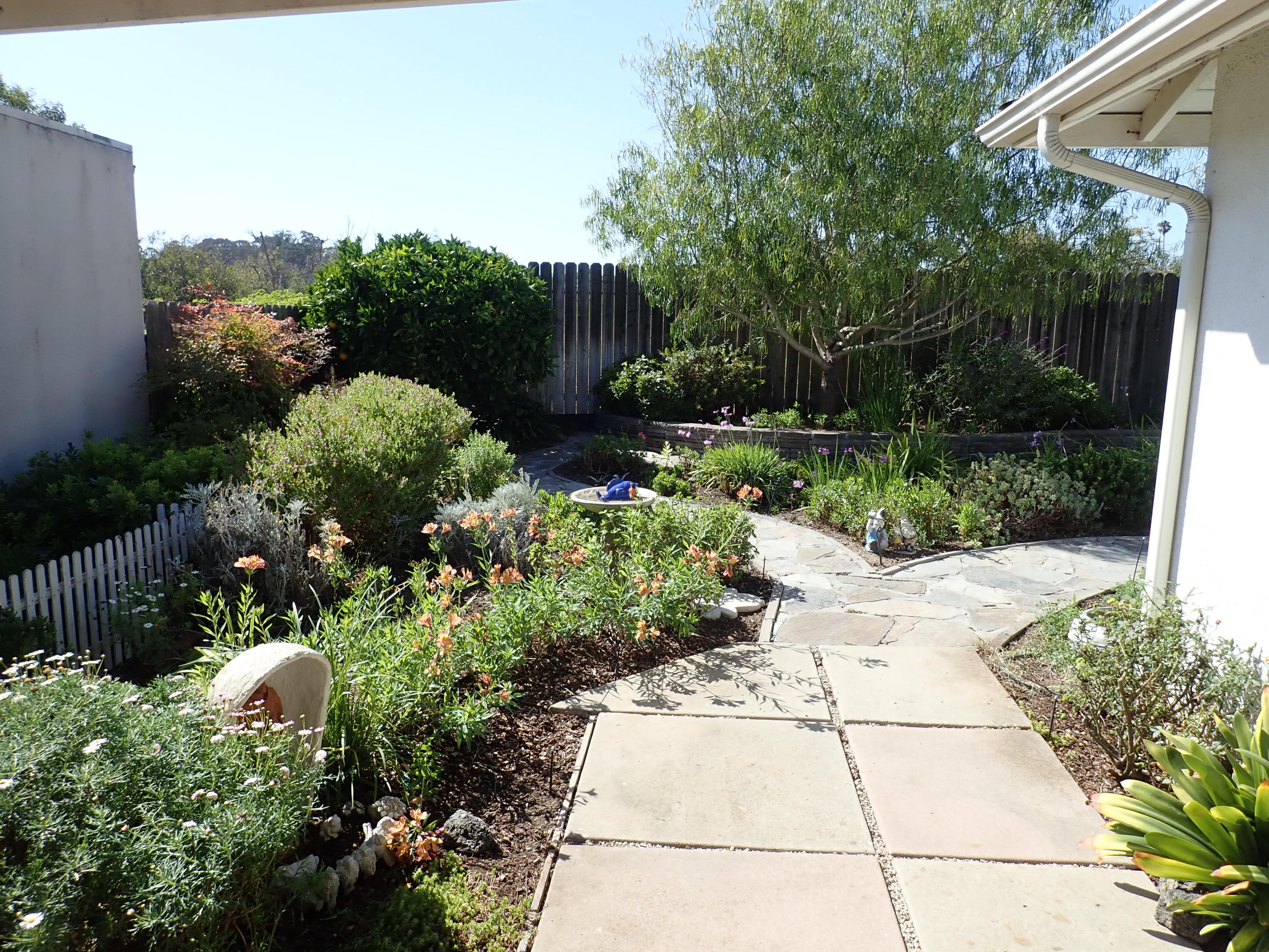 483 Reed Court Goleta, CA 93117 - Photo 26 of 37 a view of a garden with flowers