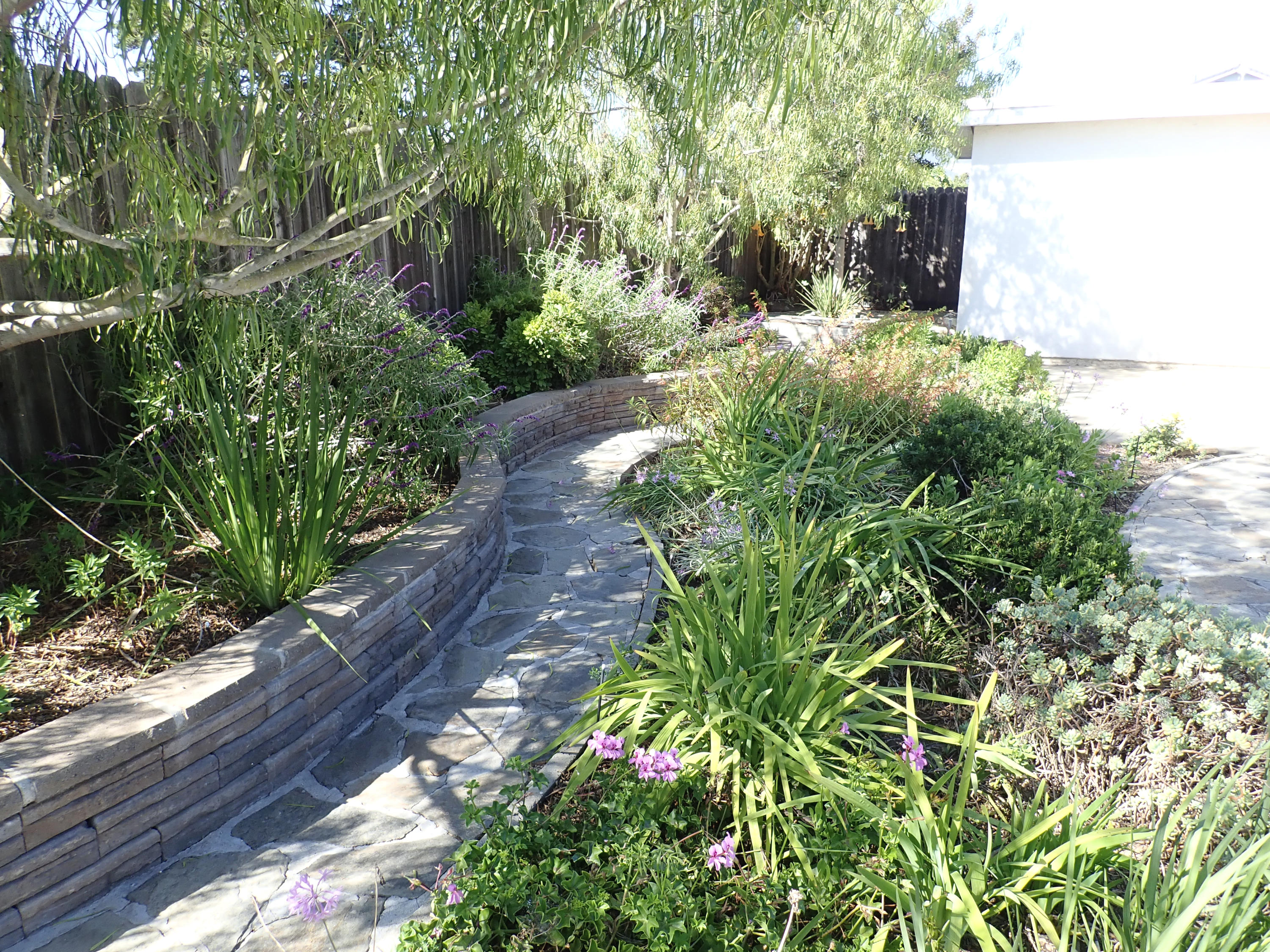 483 Reed Court Goleta, CA 93117 - Photo 28 of 37 a backyard of a house with lots of green space