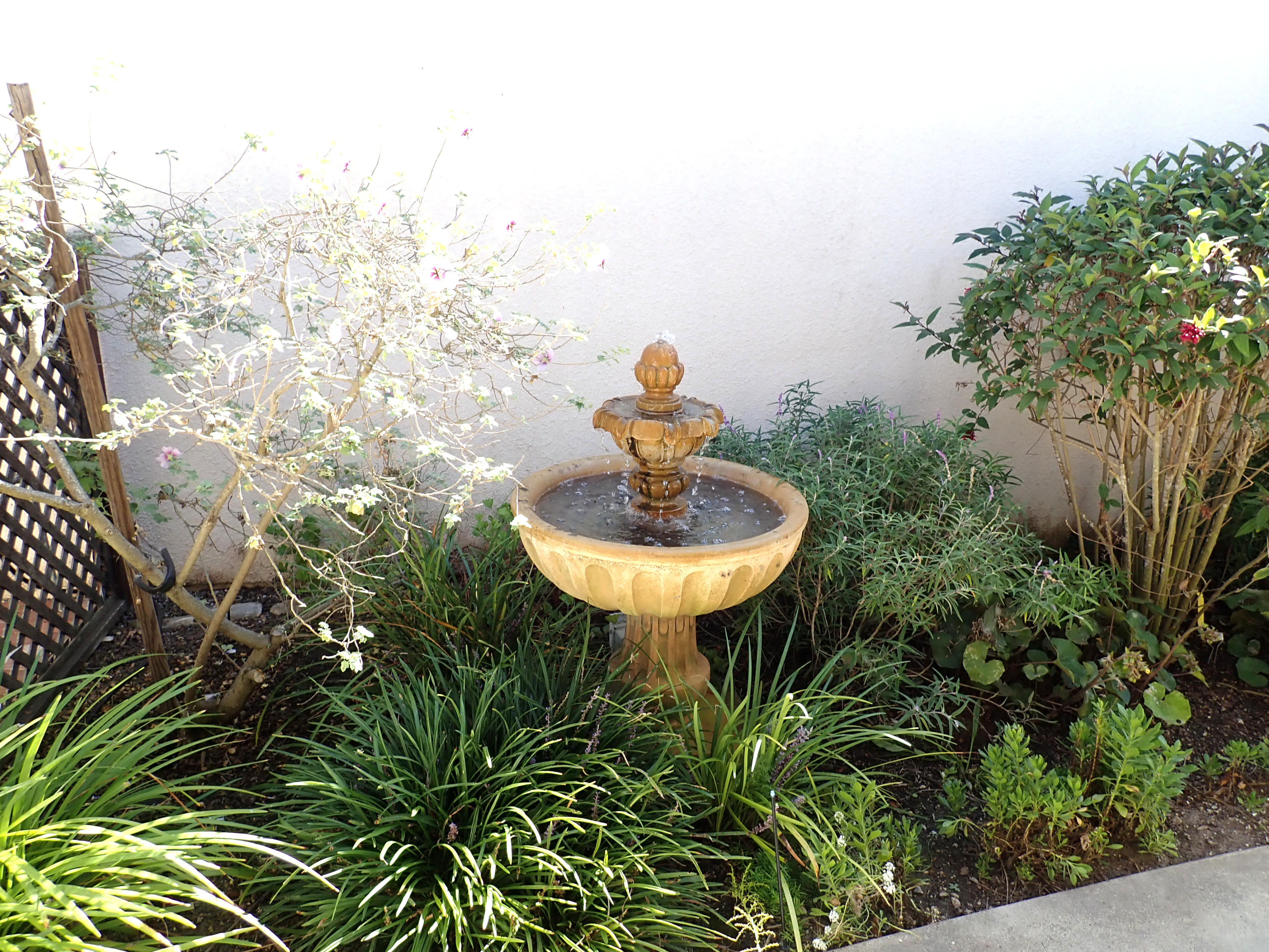 483 Reed Court Goleta, CA 93117 - Photo 30 of 37 a view of a fountain in the backyard of a house