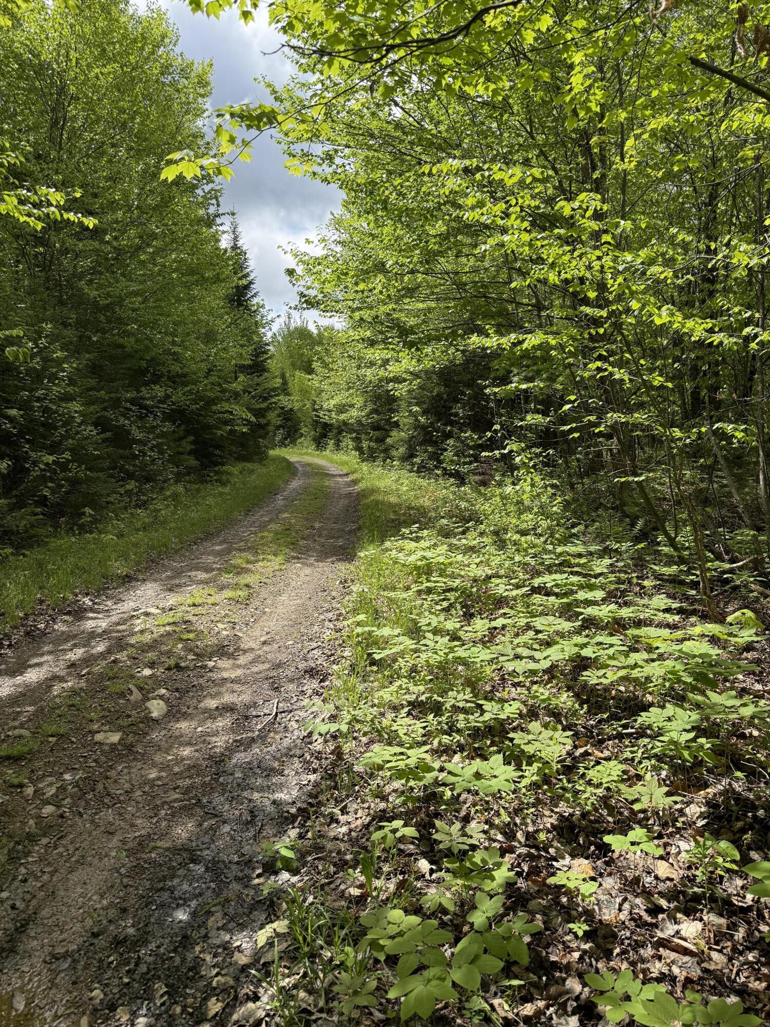 0 Dixie Road Wytopitlock, ME 04497 - Photo 6 of 8 IMG_9711