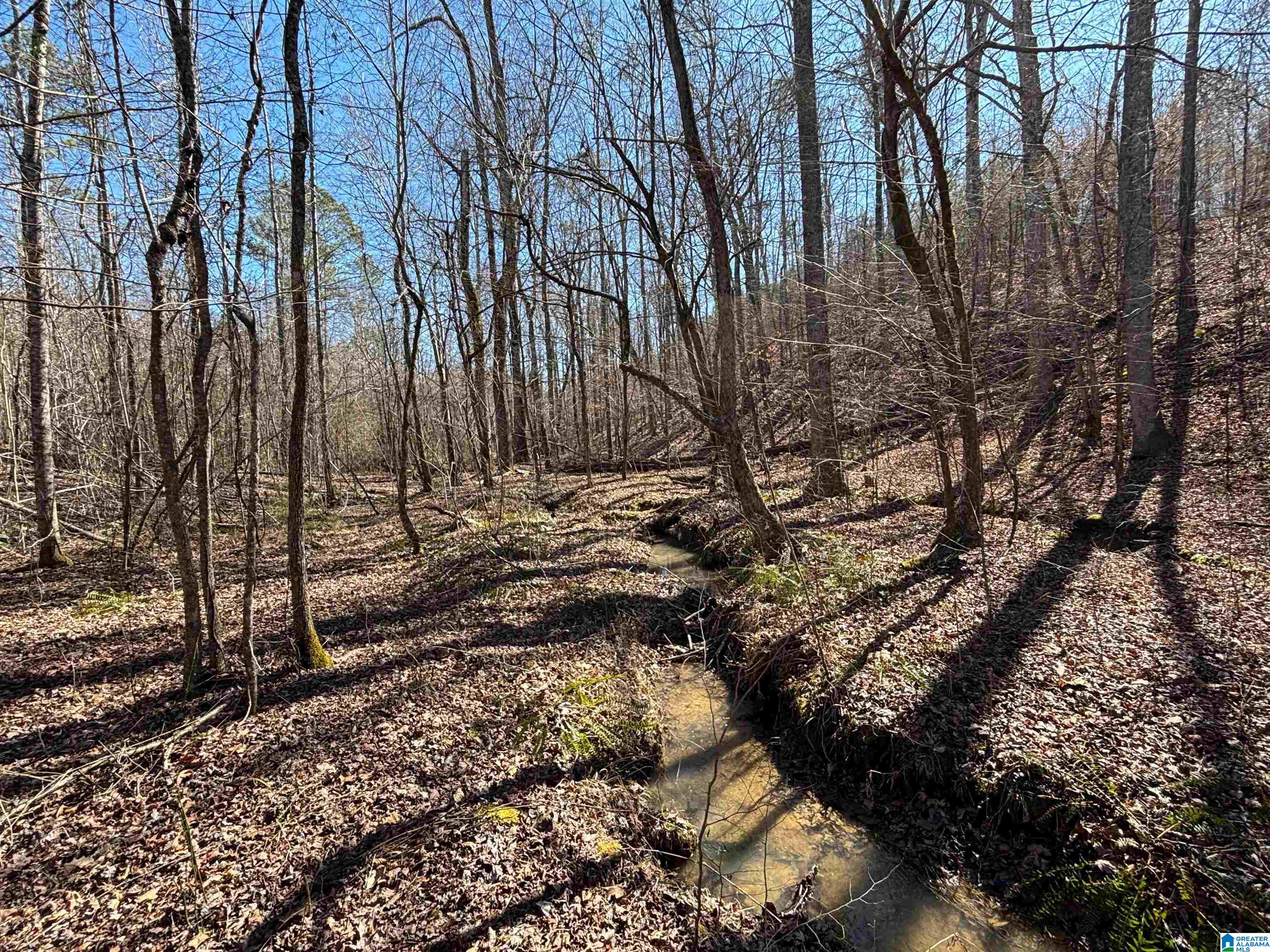 7380 Narrows Road, Unit 148 / ACRES Pinson, AL 35126 - Photo 6 of 22