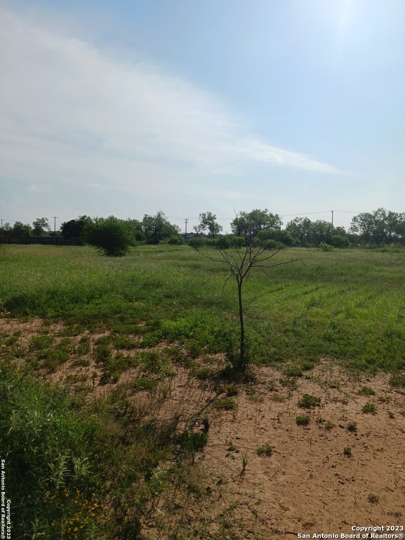 a view of a field with sitting space and trees