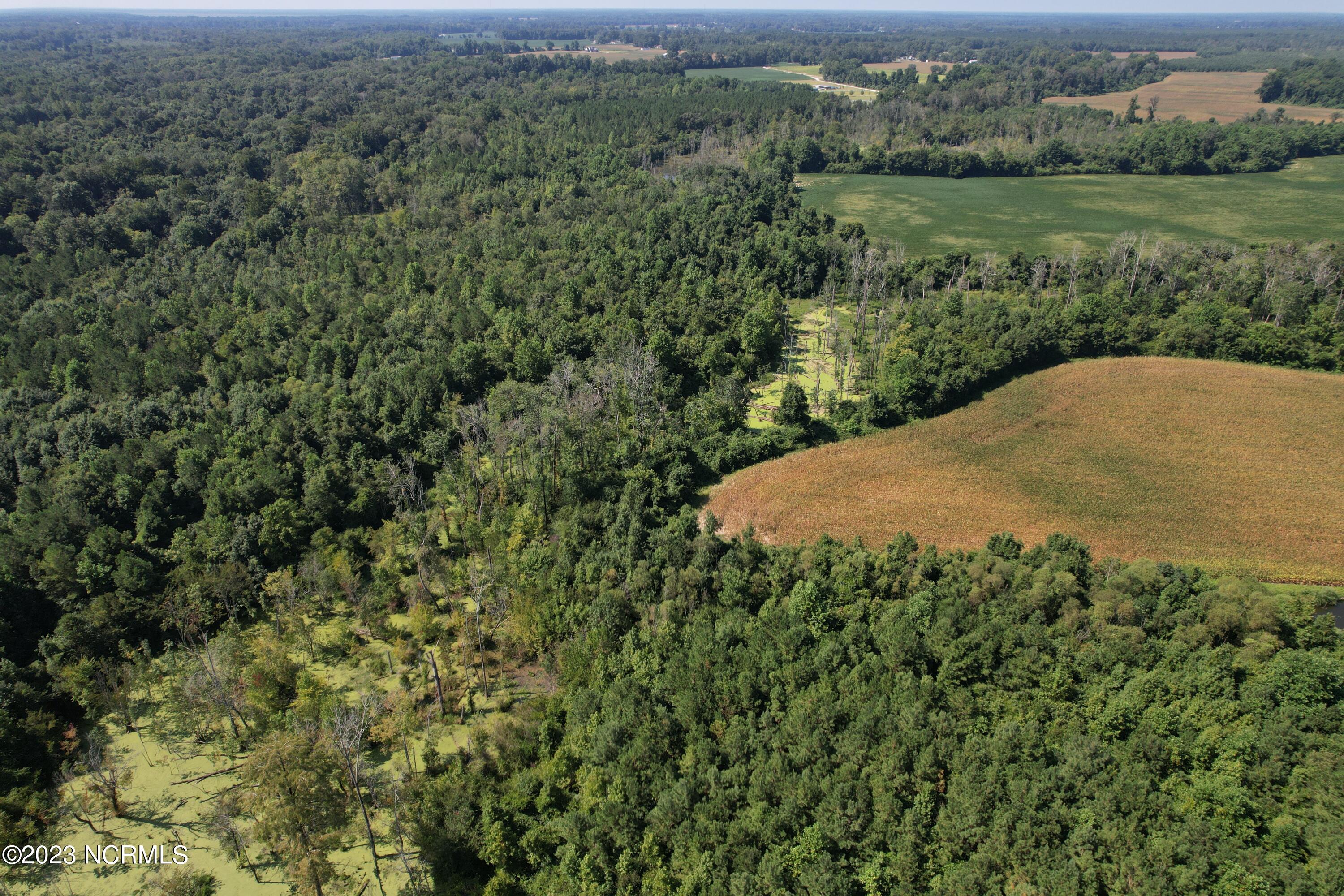 0 Wintergreen Road Cove City, NC 28523 - Photo 20 of 70 Wintergreen Road Road, Cove City
