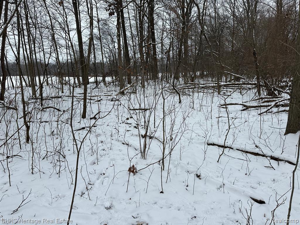 V/l West Allen Road Fowlerville, MI 48836 - Photo 4 of 6