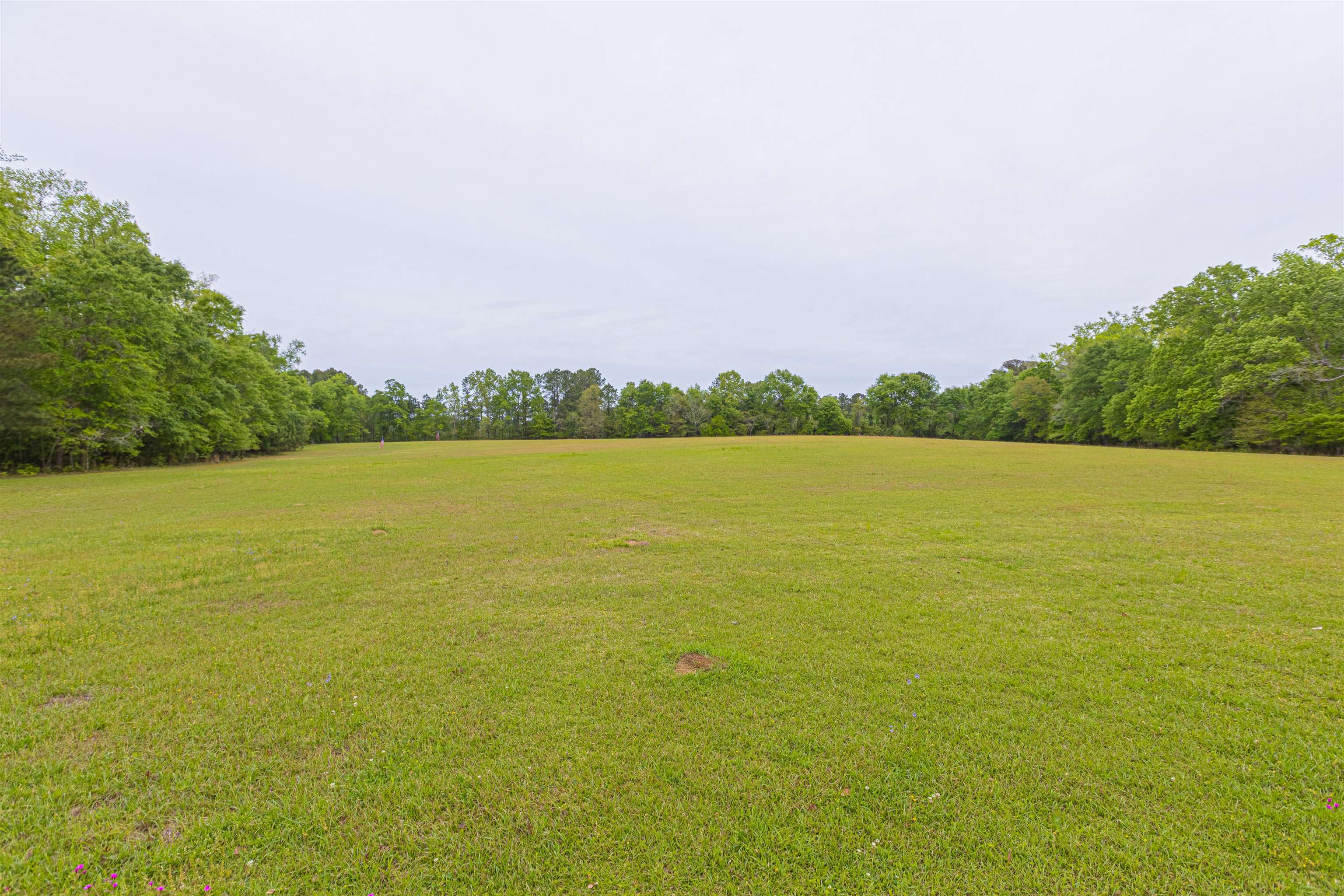 8946 Highmarket Street Georgetown, SC 29440 - Photo 42 of 70