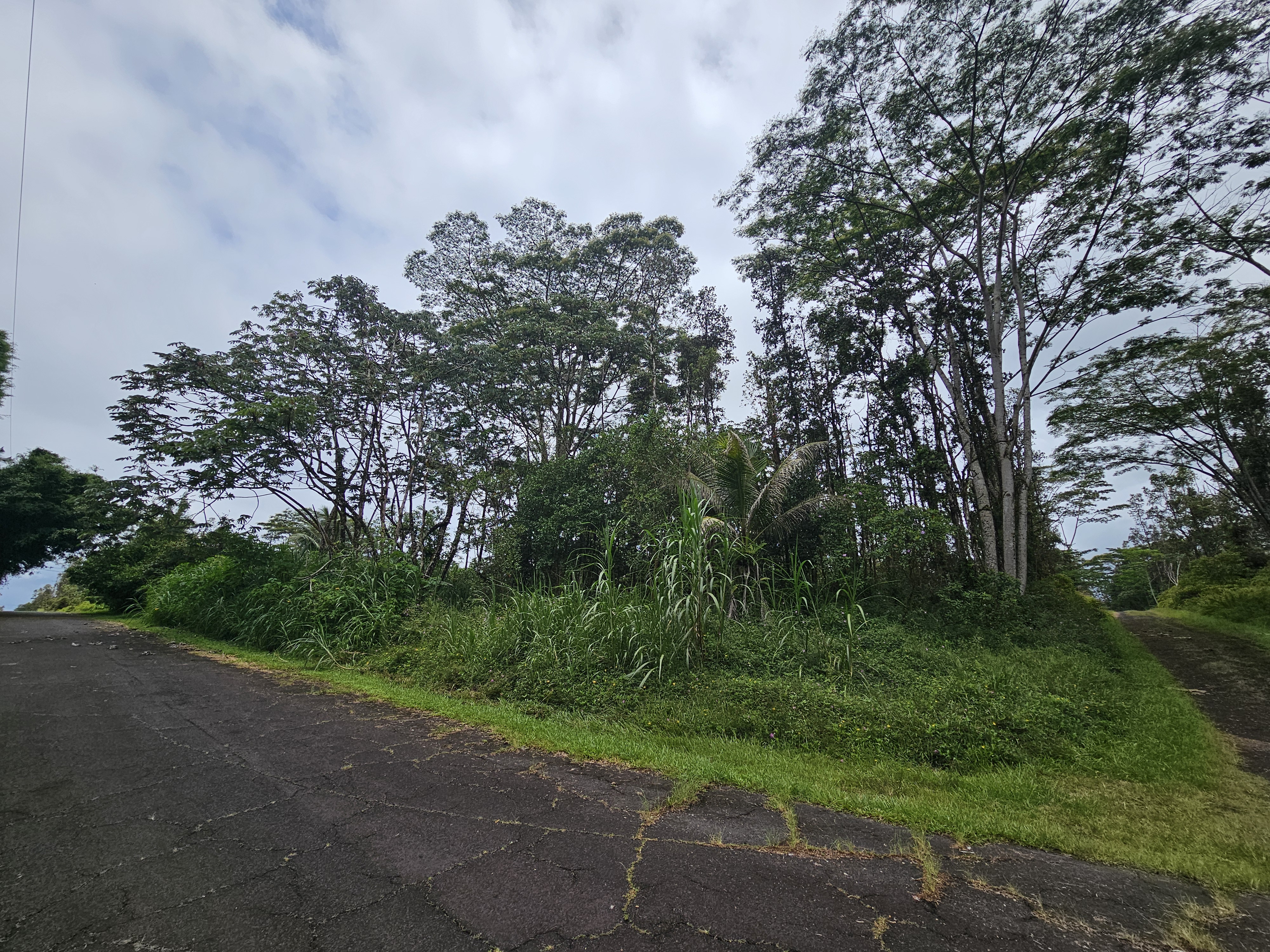 247 Pahoa Road Pahoa, HI 96778 - Photo 3 of 11