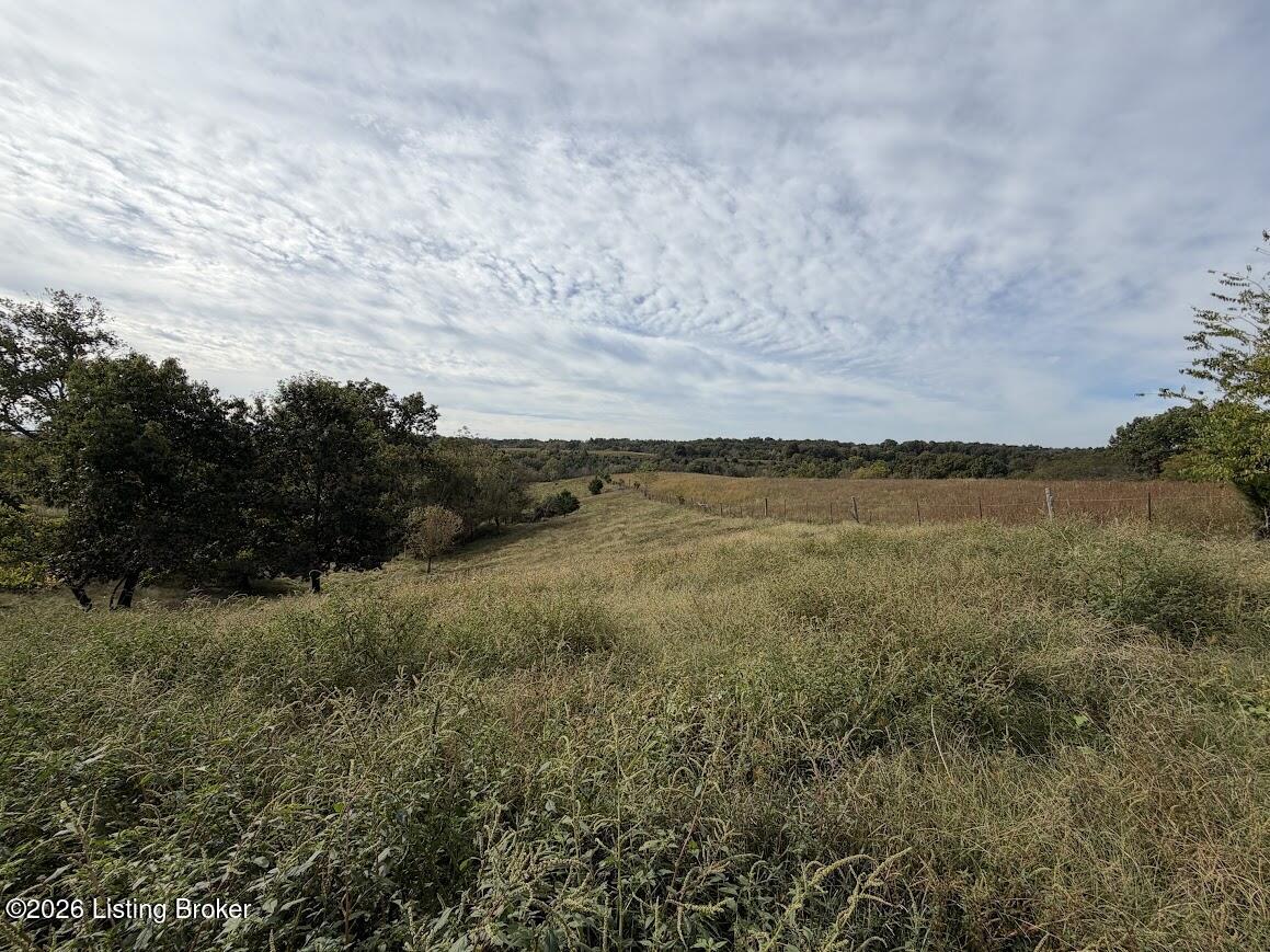 373 Ockerman Road Bloomfield, KY 40008 - Photo 31 of 35 Land behind house2