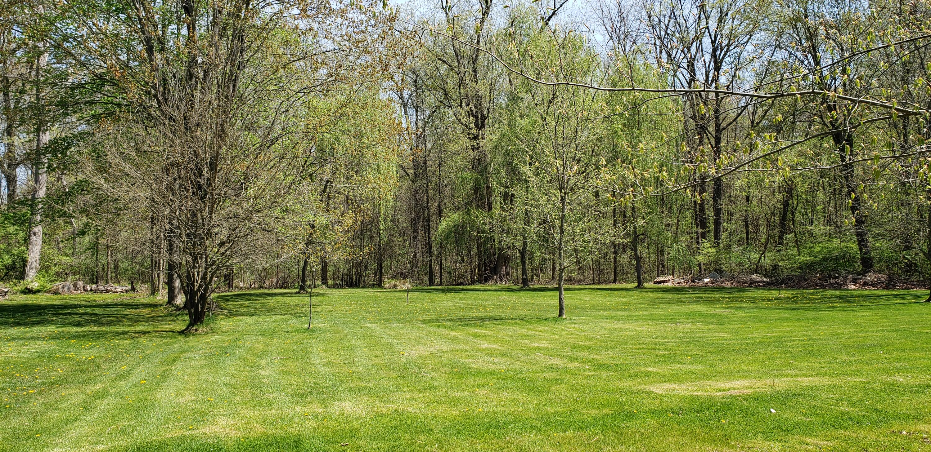 12151 Bunton Road Willis, MI 48191 - Photo 5 of 31 4 backyard