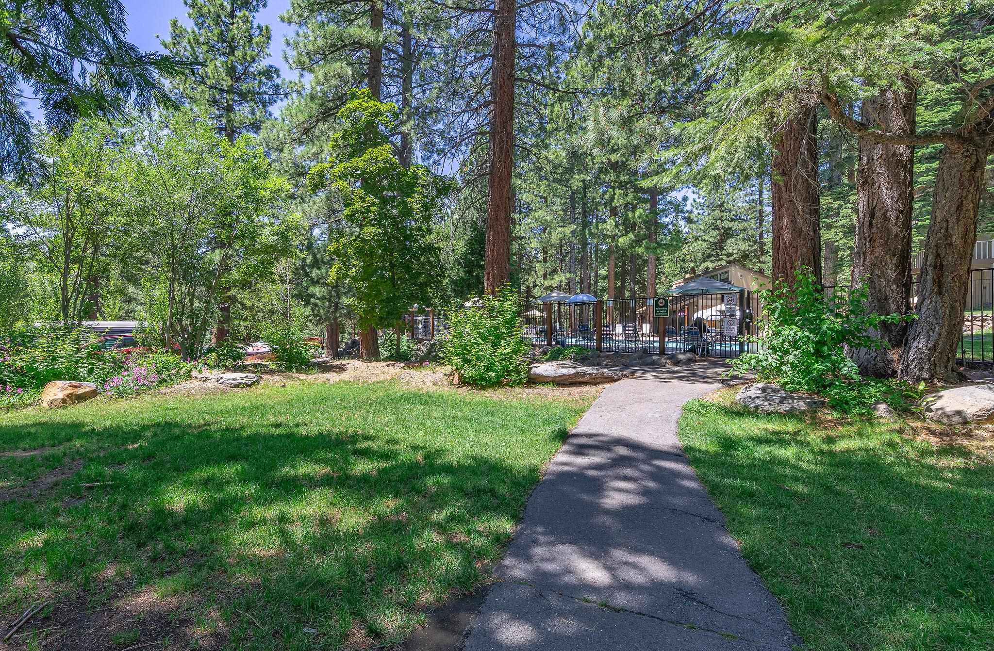 1001 Commonwealth Drive, Unit 206 Kings Beach, CA 96143 - Photo 24 of 28 a view of yard with green space