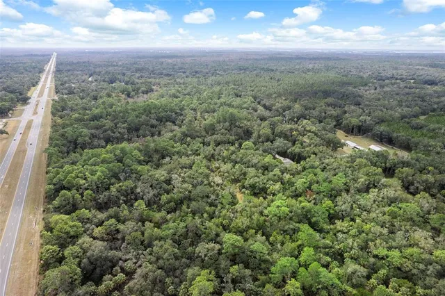 an aerial view of a house with a yard and large trees