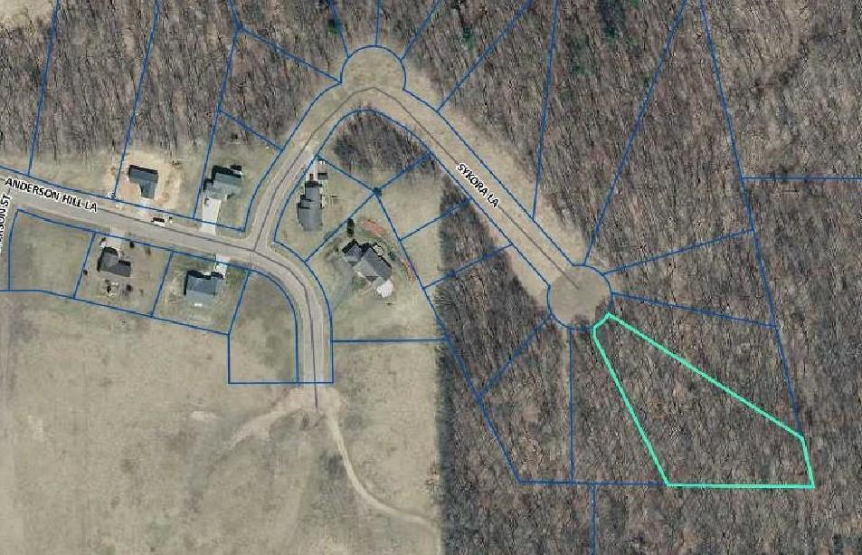 1460 Sykora Lane Boyceville, WI 54725 - Photo 2 of 12