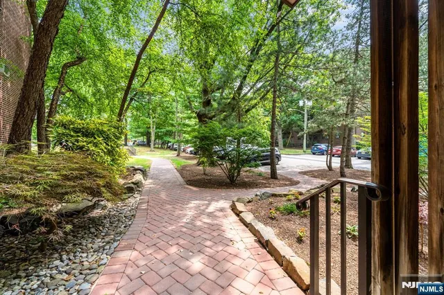 a view of path along with trees