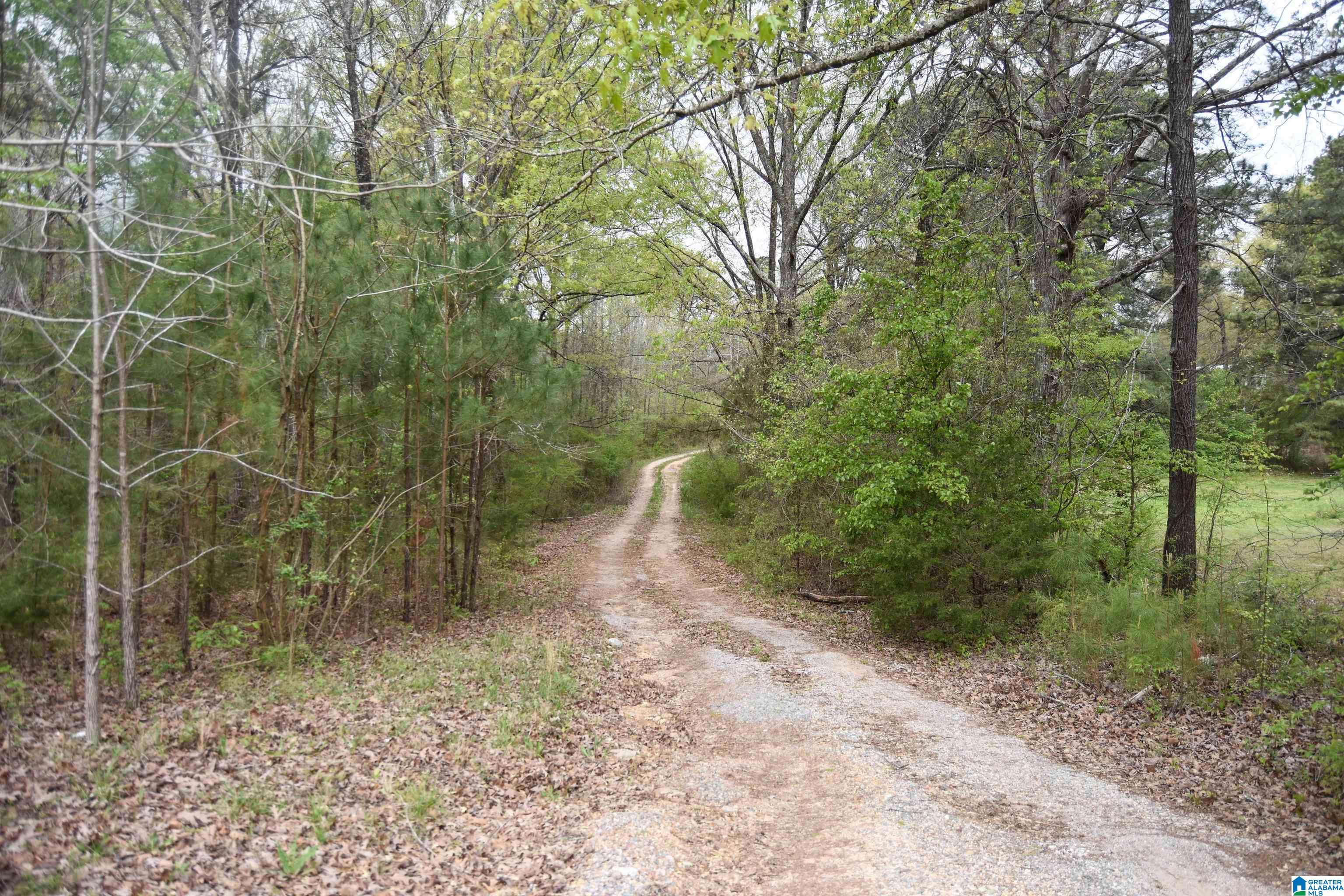 922 Brannen Road Sylacauga, AL 35150 - Photo 30 of 35