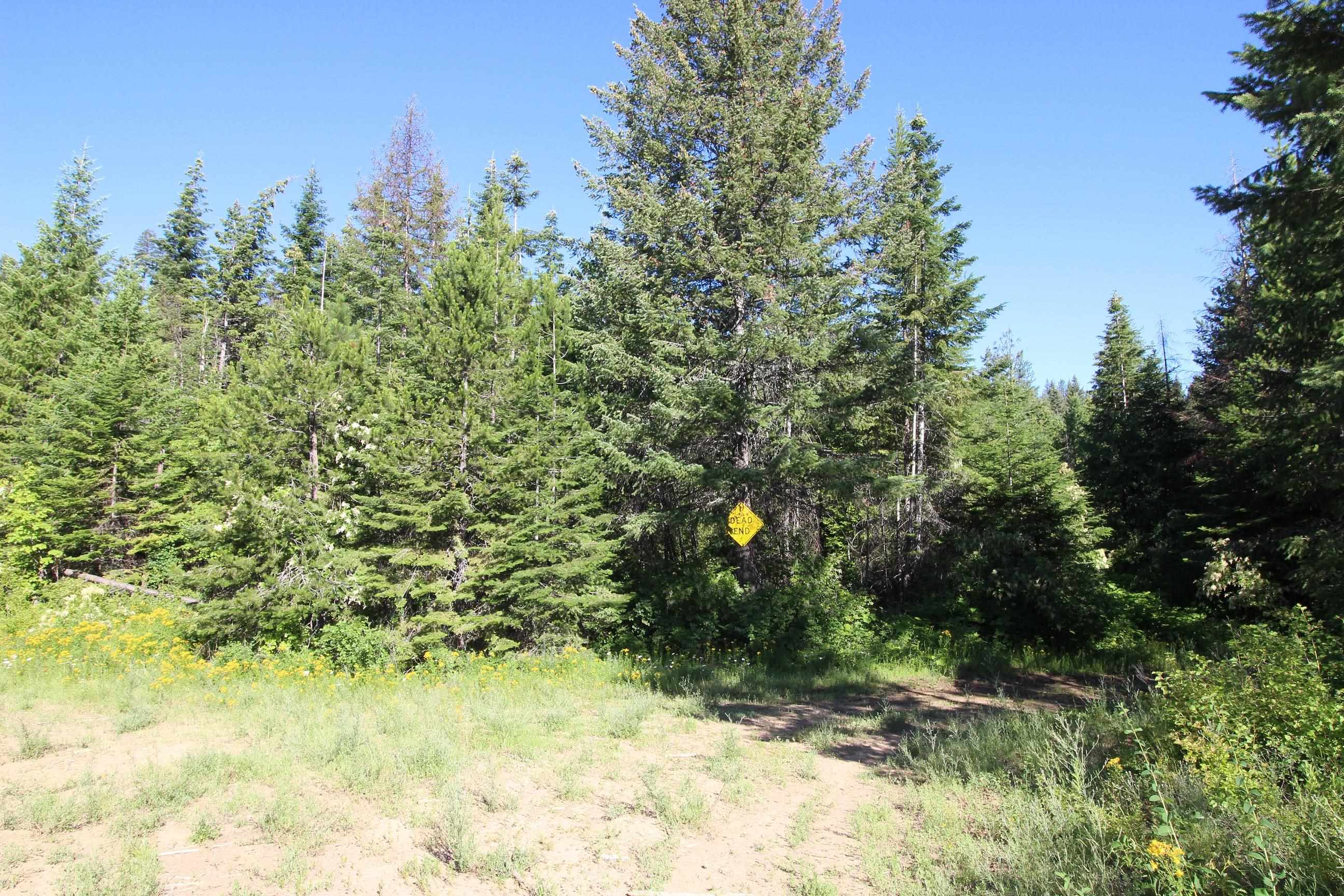 Xxx Buck Creek Road Newport, WA 99156 - Photo 17 of 18